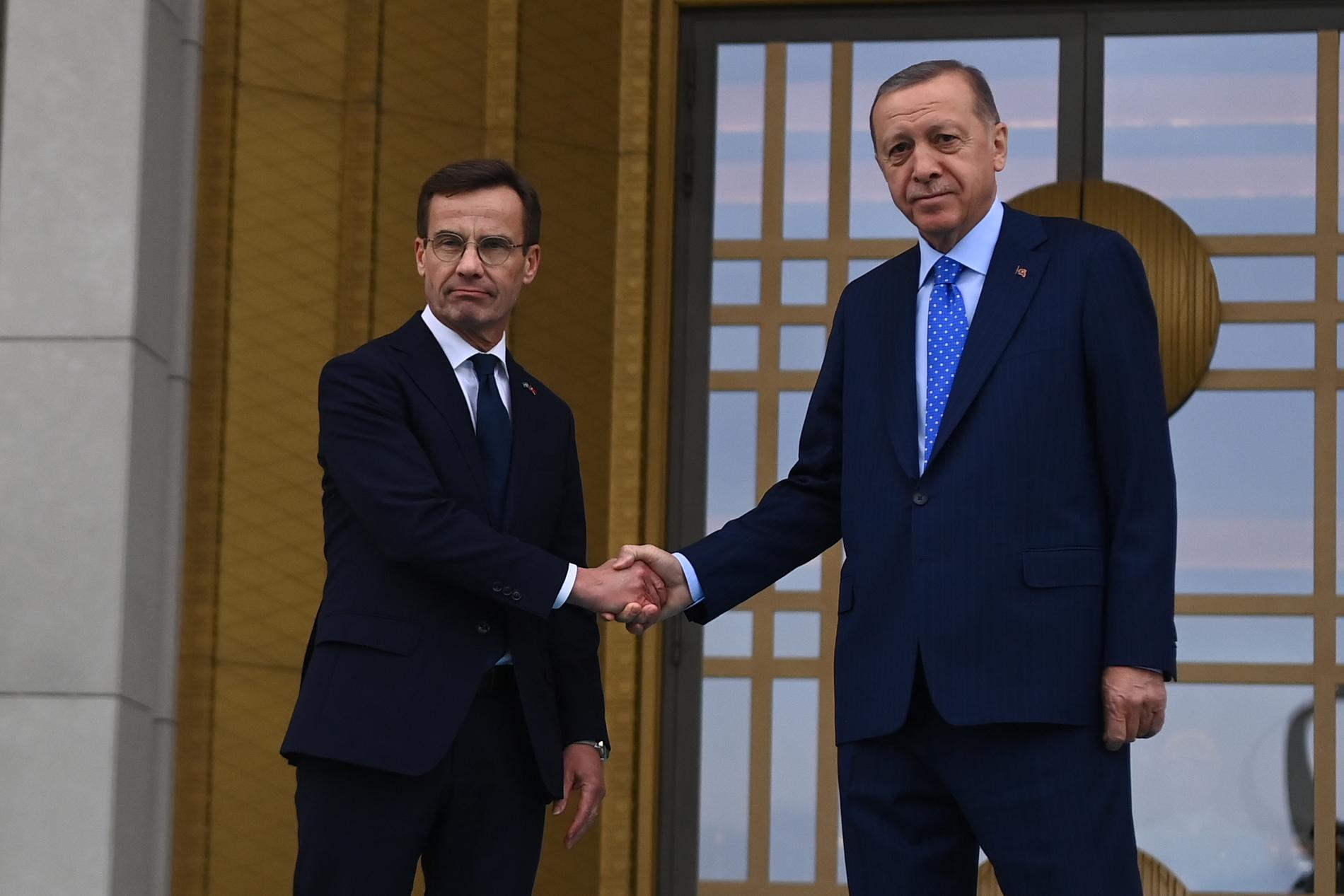Kristersson och Erdogan skakar hand vid ingången till palatset. 