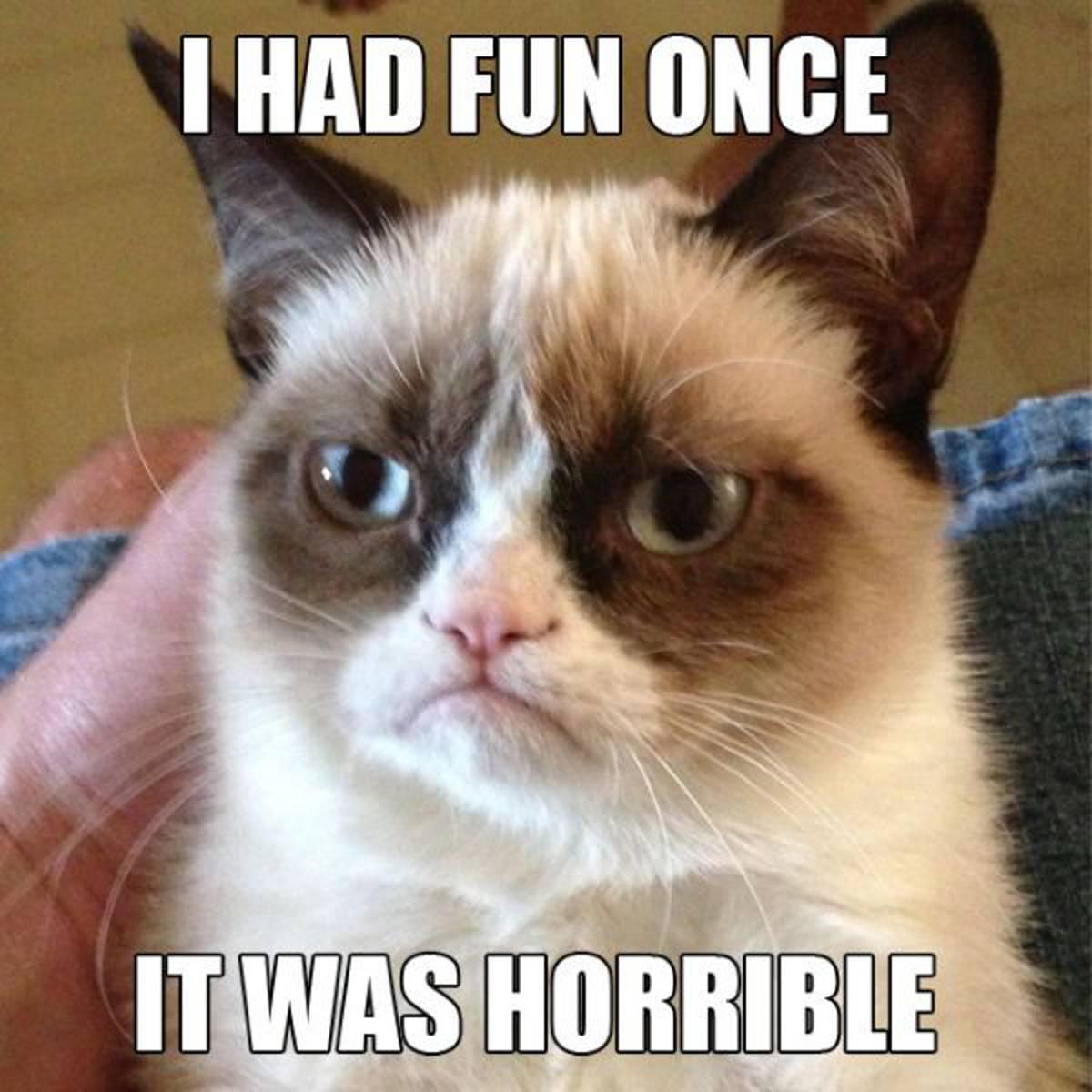 En populär misse på nätet. Går under namnet "Grumpy cat".