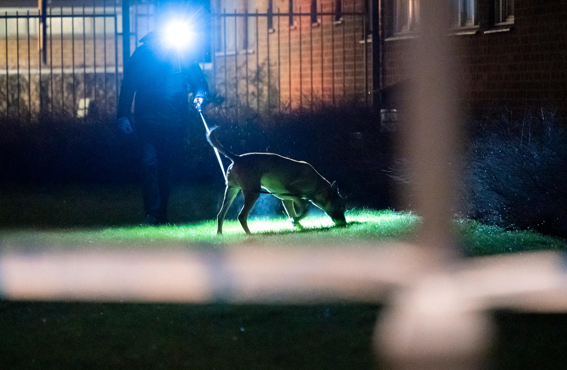 Polis med specialsökhund arbetar innanför avspärrningarna efter ett misstänkt mordförsök i Söderkulla i Malmö på fredagskvällen.