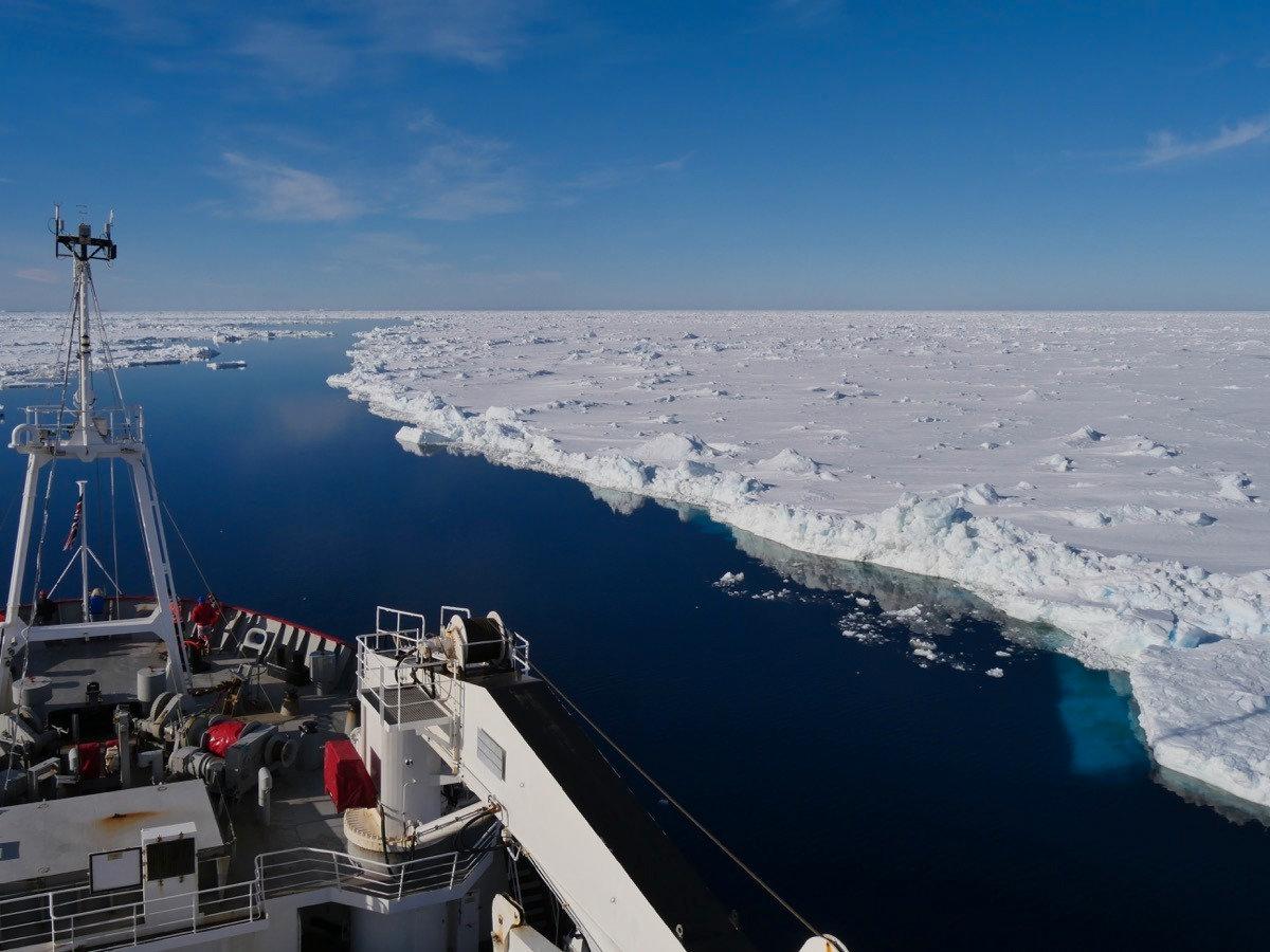 Forskningsfartyget R/V James Clark Ross strävar framåt i den antarktiska isen.