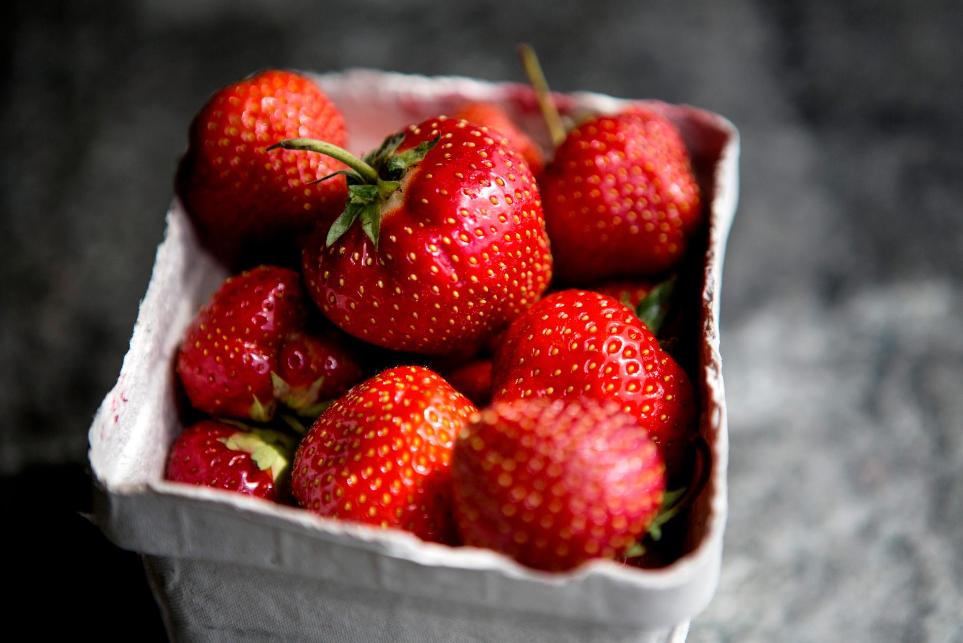Forskarna vill ta fram bättre råd och tips kring jordgubbsodling. Arkivbild.