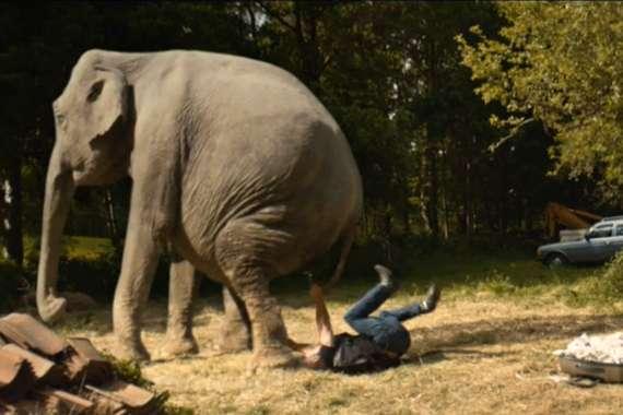 Tung filmstjärna Robert Gustafsson som spelar huvudrollen i ”Hundraåringen …” menar att det var angenämt att spela mot den inhyrda elefanten. ”Men det var hopplöst när det kom till filmandet. Helt plötsligt kunde elefanten tröttna och då var det bara att avbryta”, säger han.