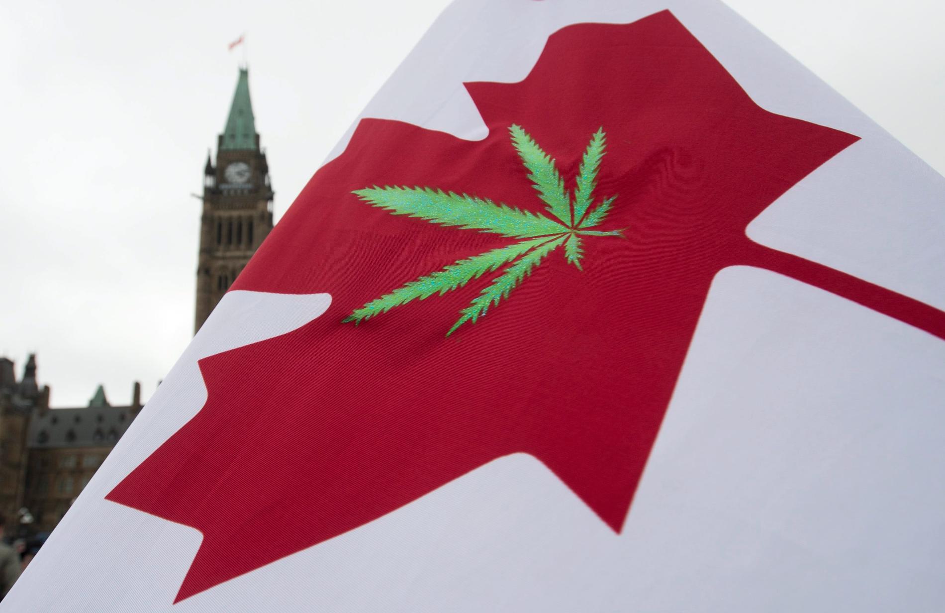 Kanadas parlament säger ja till legalisering av cannabisbruk. Arkivbild.