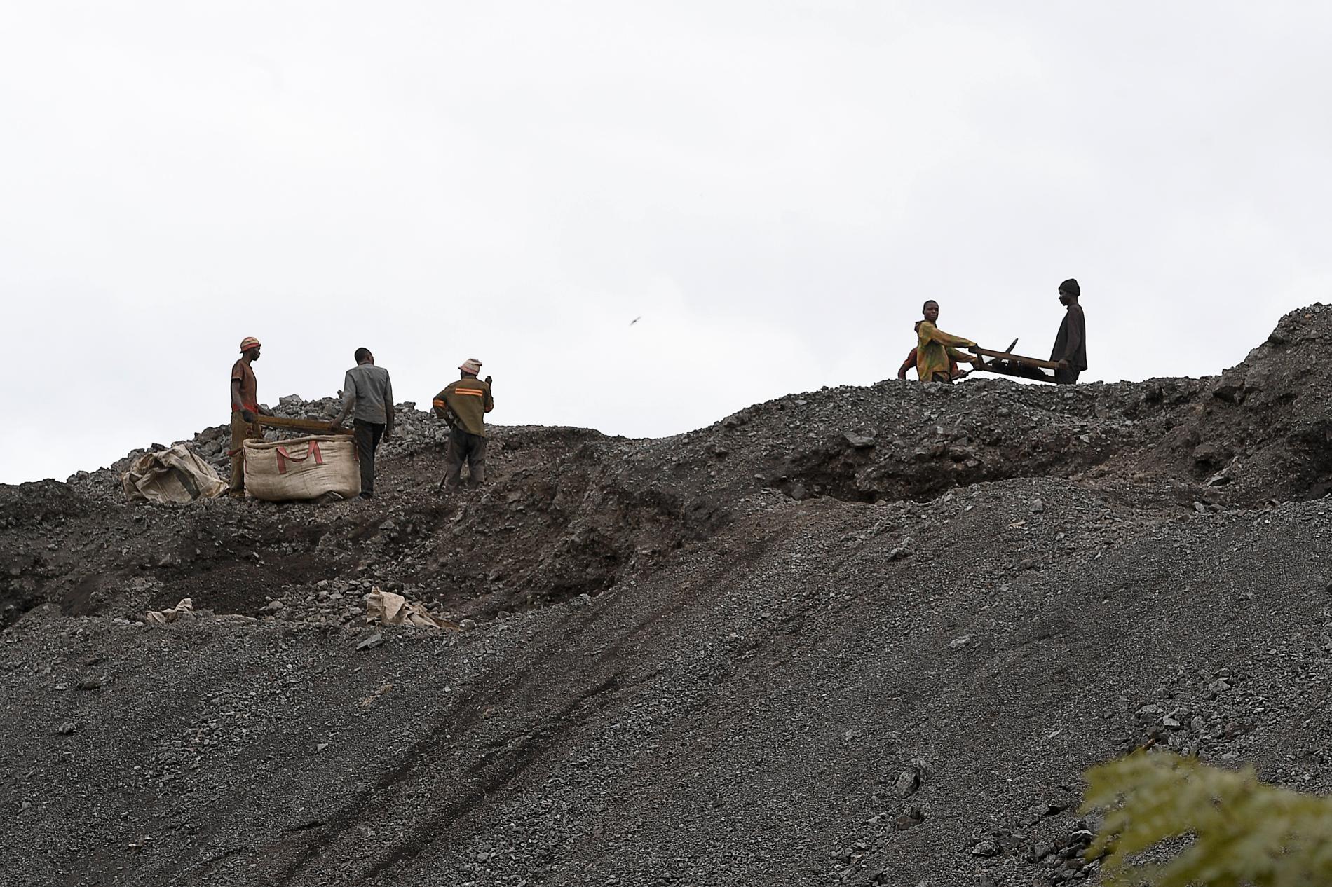 I en rapport från 2016 framgick att runt 40 000 barn arbetade inom Kongos gruvindustri. 