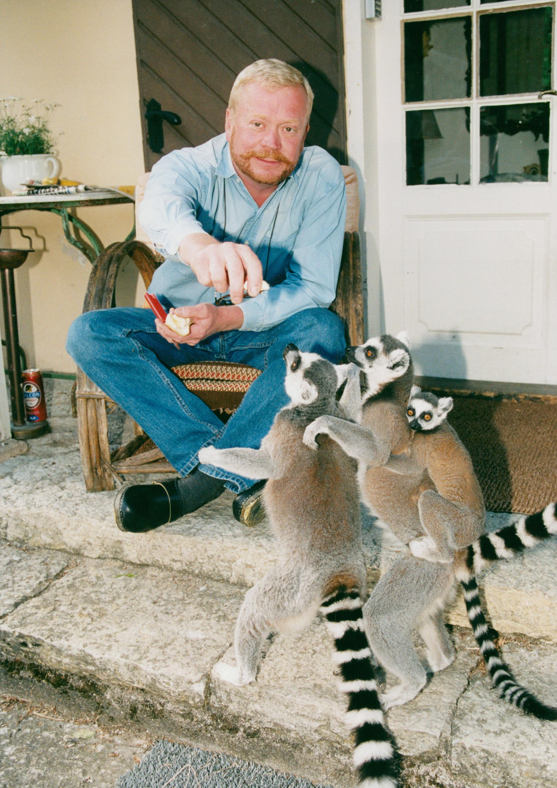 Jonas Wahlström med sina lemurer på gården på Lisö.