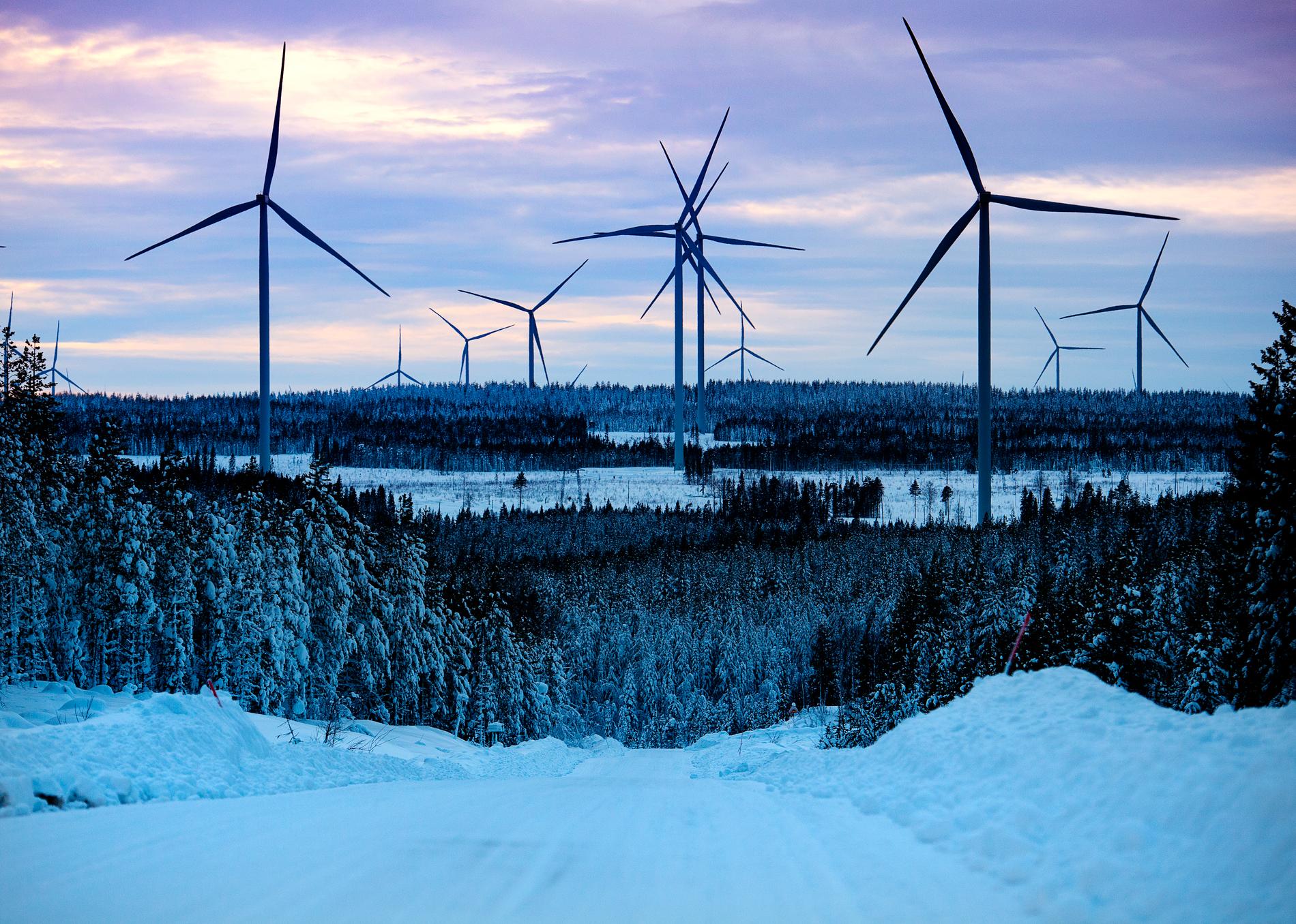 Markbygdens vindkraftpark med sina nästan 800 vindkraftverk på en yta som är lika stor som två Stockholm är Europas största landbaserade vindpark, enligt företaget.