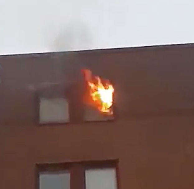 Det brann i en lägenhet på Friisgatan vid Möllevången.