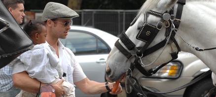 ”En morot till pållen!”. Pappa Pitt försöker övertyga en smått tveksam Zahara om att stora hästar inte behöver vara så skrämmande. FOTO: STELLA PICTURES
