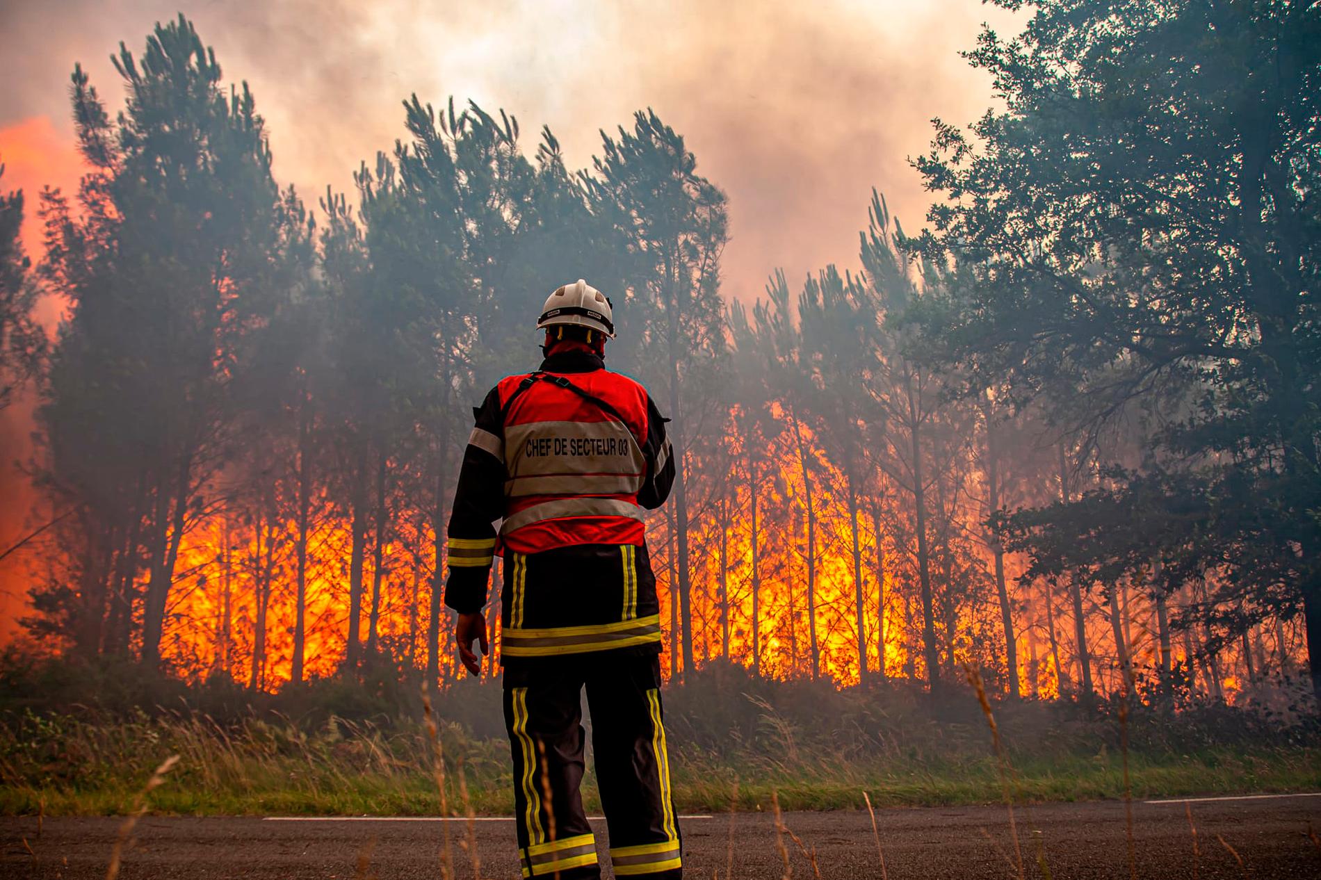 I sydvästra Frankrike har bränderna ödelagt omkring 10 000 hektar mark sedan i tisdags.