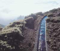 En levadavandring hör till ett besök på Madeira. De flesta levador, bevattningskanaler, löper genom vacker natur. Vissa är riktigt farliga.