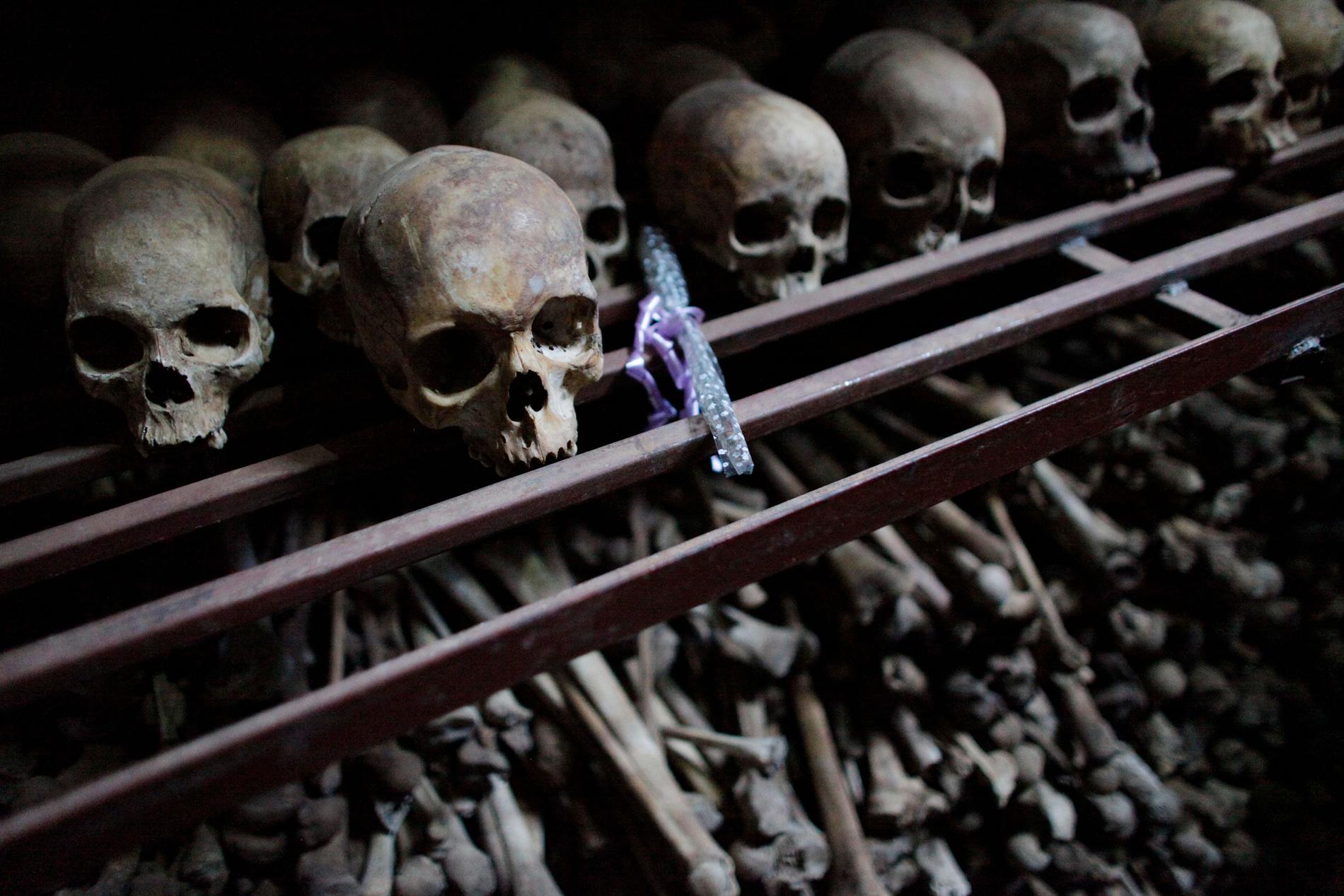 Skallar och skelettdelar efter offer för folkmordet i Rwanda 1994. Arkivbild