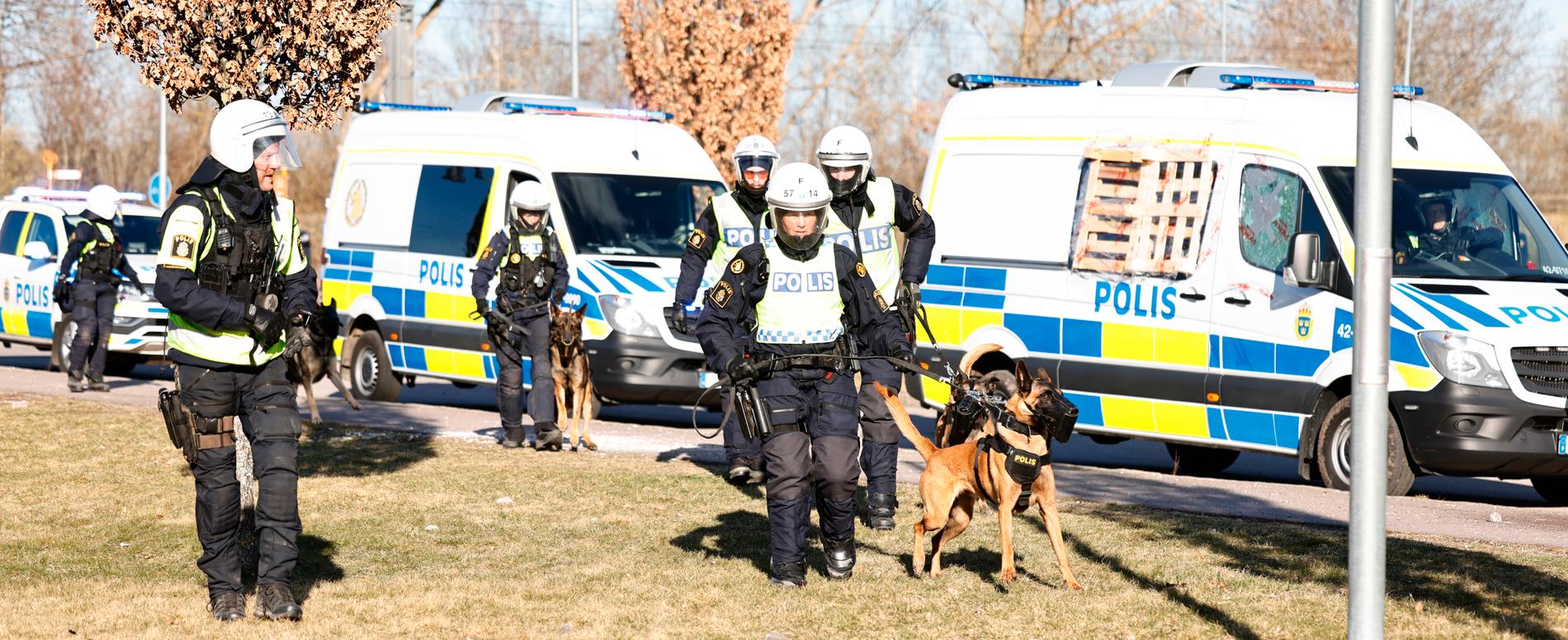 Kravallutrustad polis med polishundar under upploppen i Navestad i Norrköping