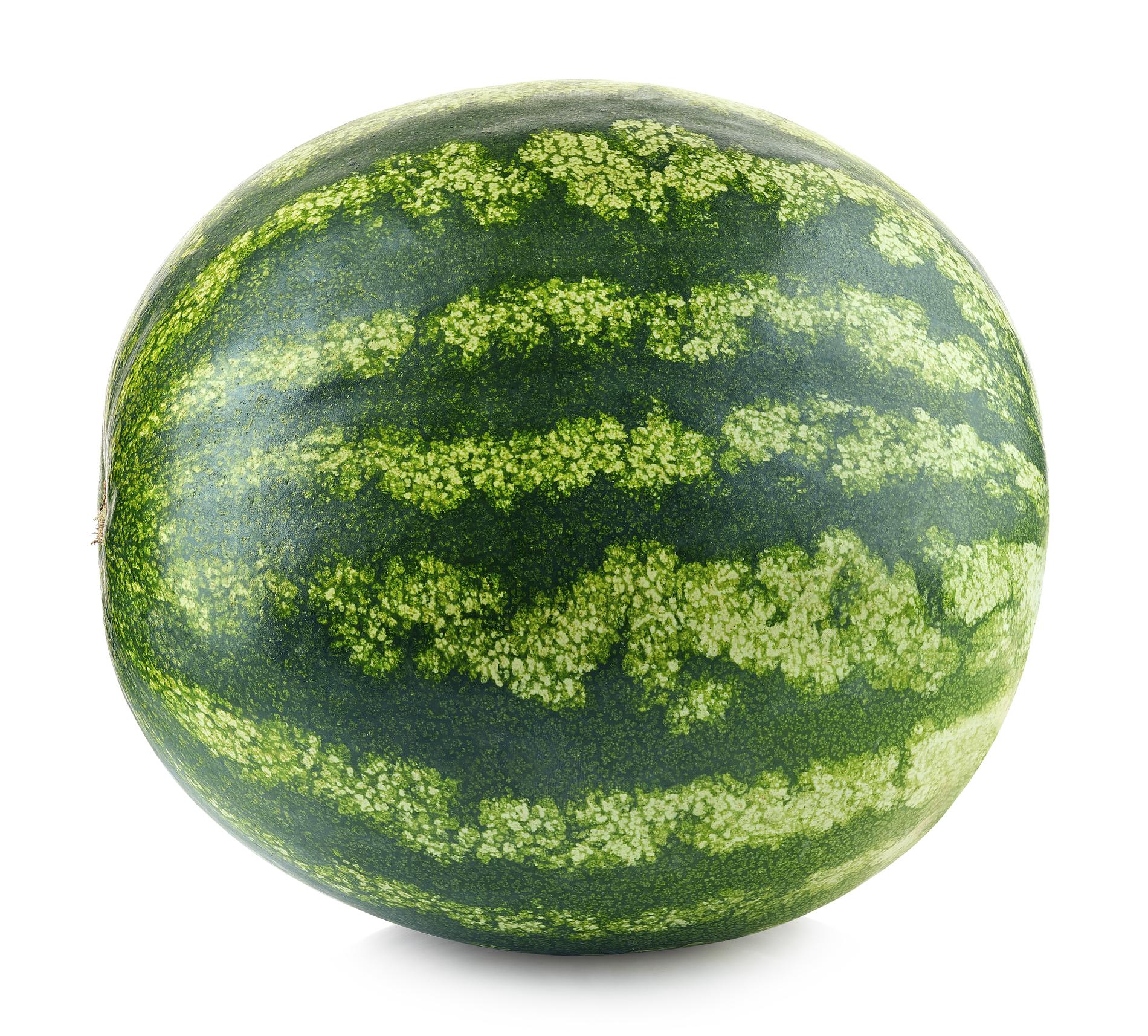Fostret är ungefär lika stor som en vattenmelon.