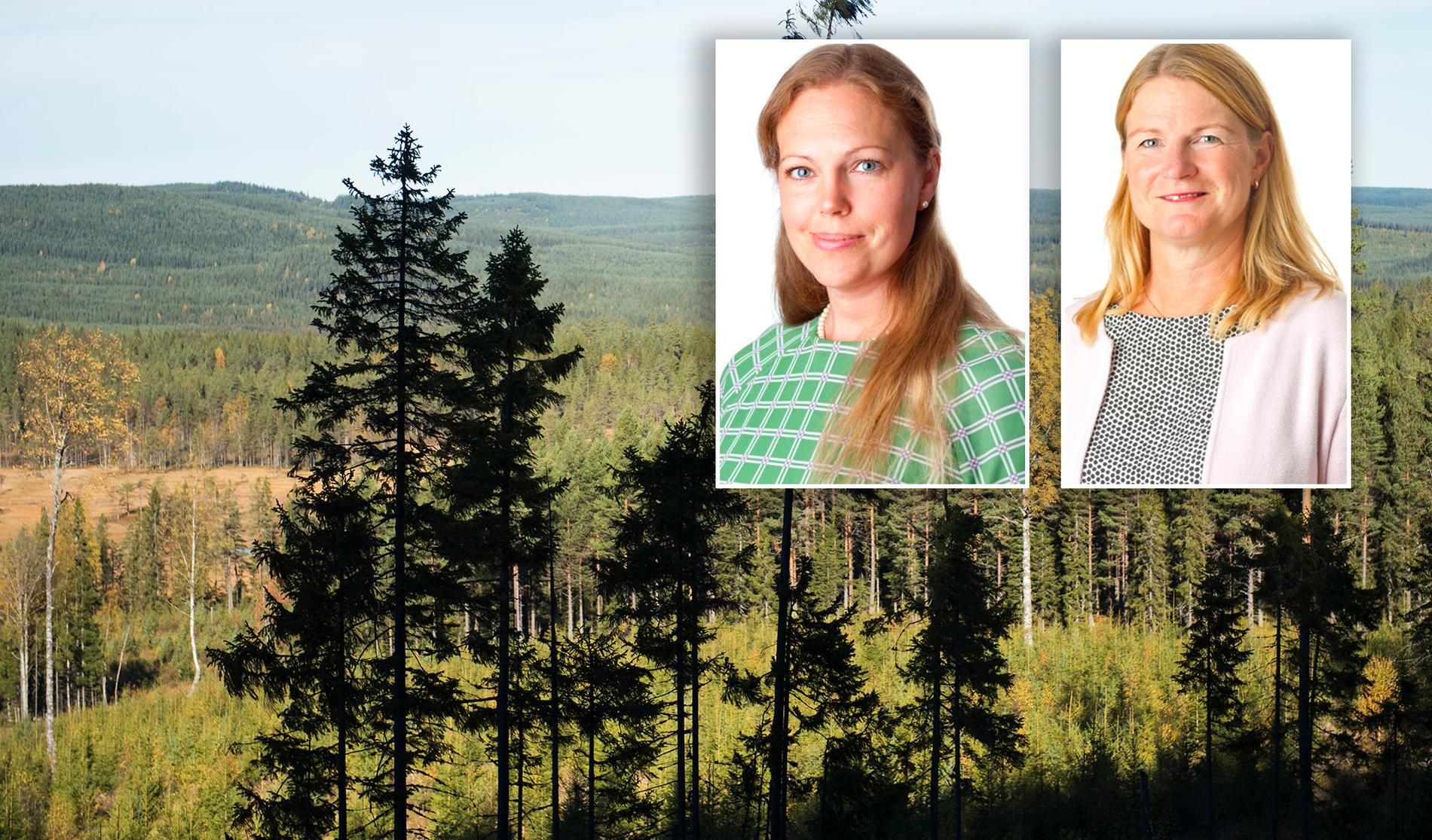 Skogsindustrierna skriver att svensk skog kan användas för att nå klimatmålen