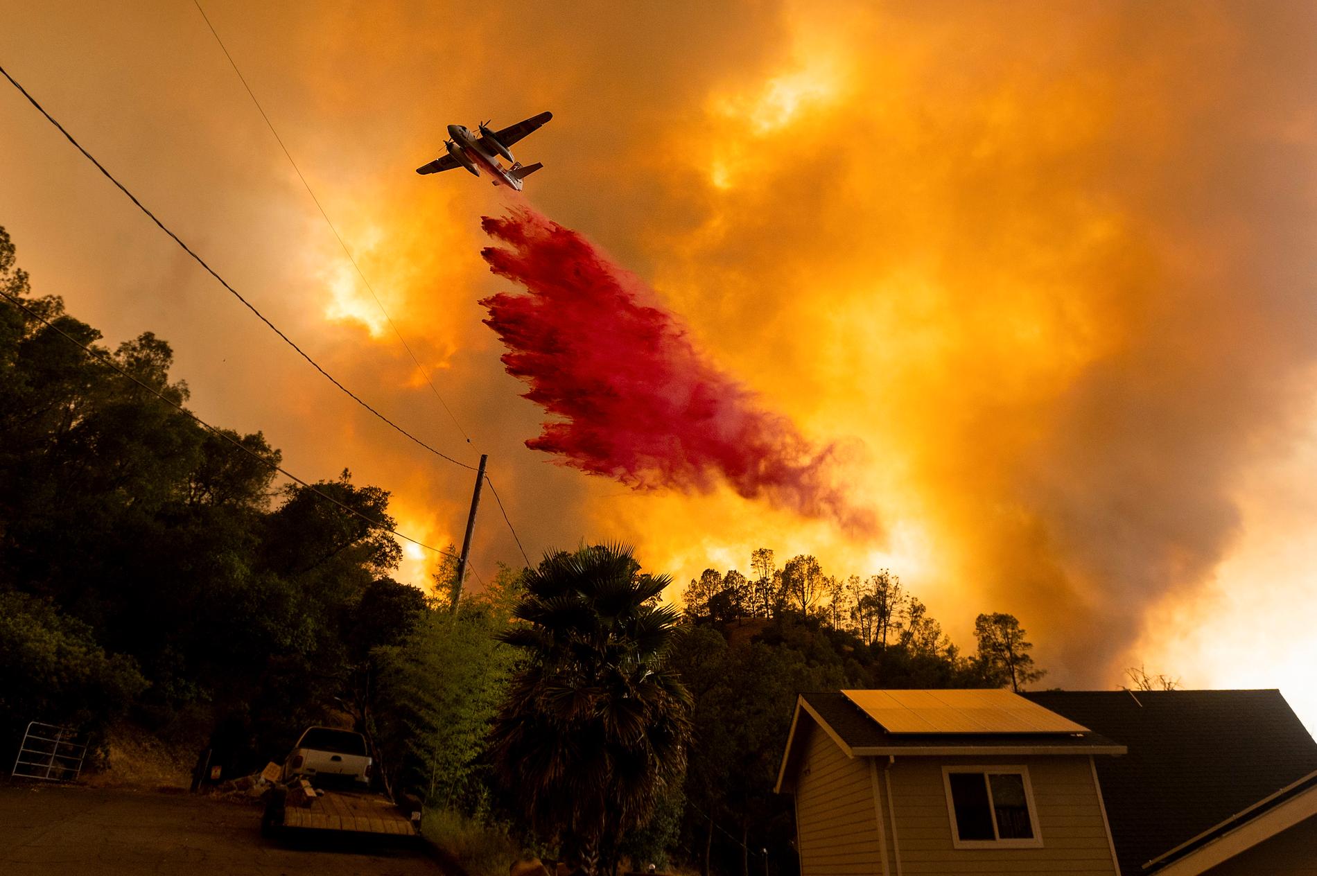 Nästan 40 skogsbränder rasar i Kalifornien.