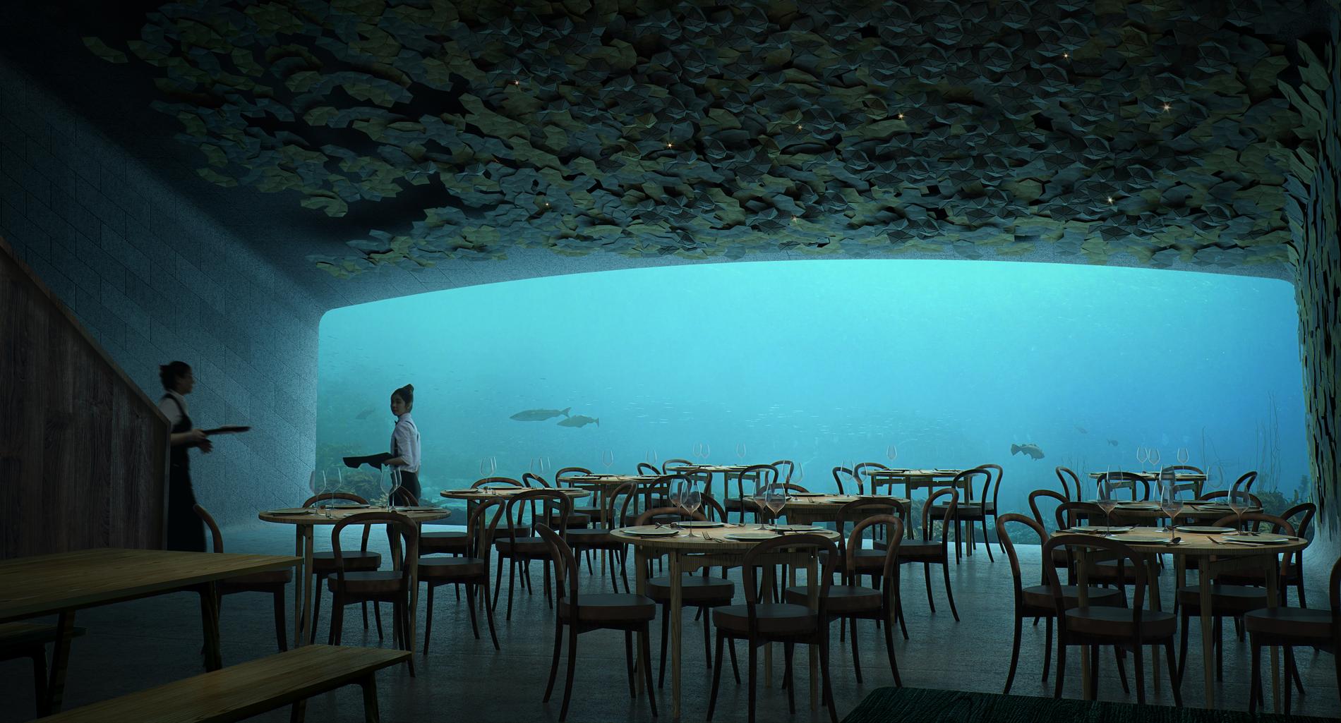 Undervattensrestaurangen har panoramafönster på 11 x 4 meter.
