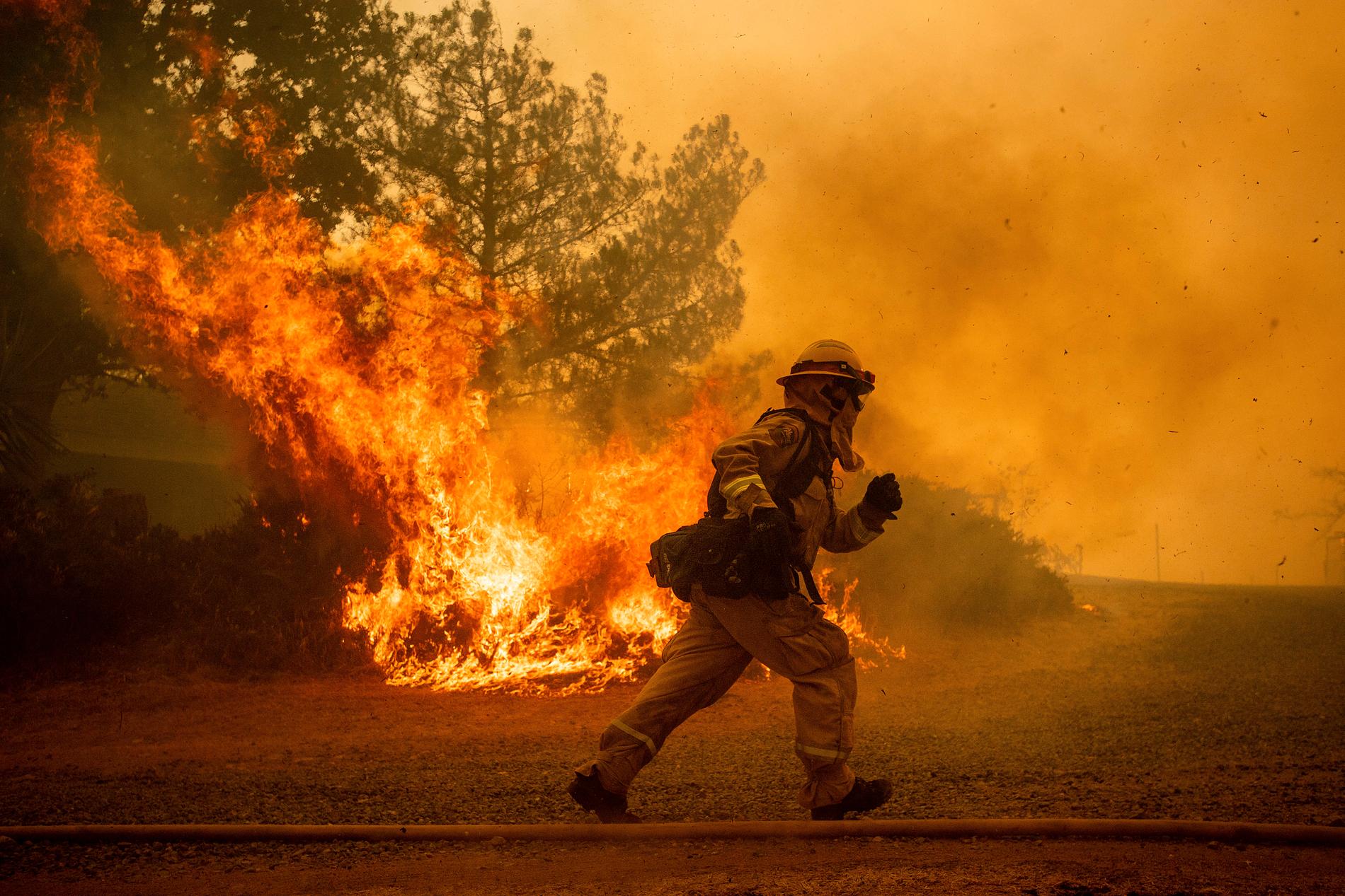 En brandbekämpare springer framför branden i Lakeport, Kalifornien. Bilden är från förra veckan.