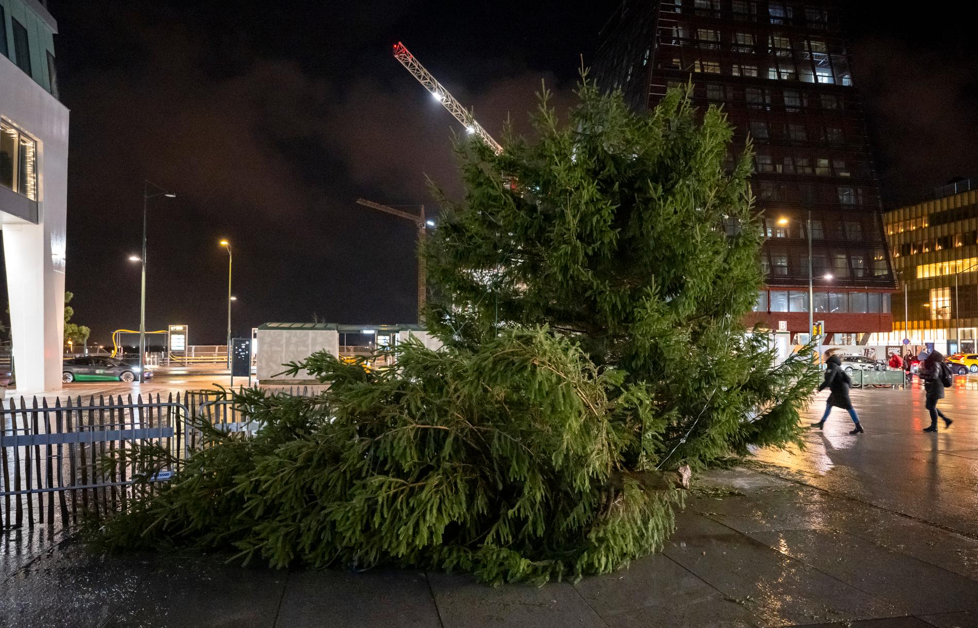 Stormen Pia knäckte julgranen på torget i Hyllie. 