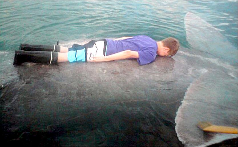 Planking Norske Bendik,14, och hans syster Ellen, 17, mötte hajen när de var ute på båttur. Att planka på hajen var en bra idé tyckte syskonen.