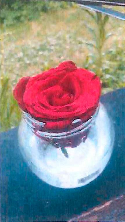 Bild på den röda rosen som kvinnan ska ha kommit hem med.
