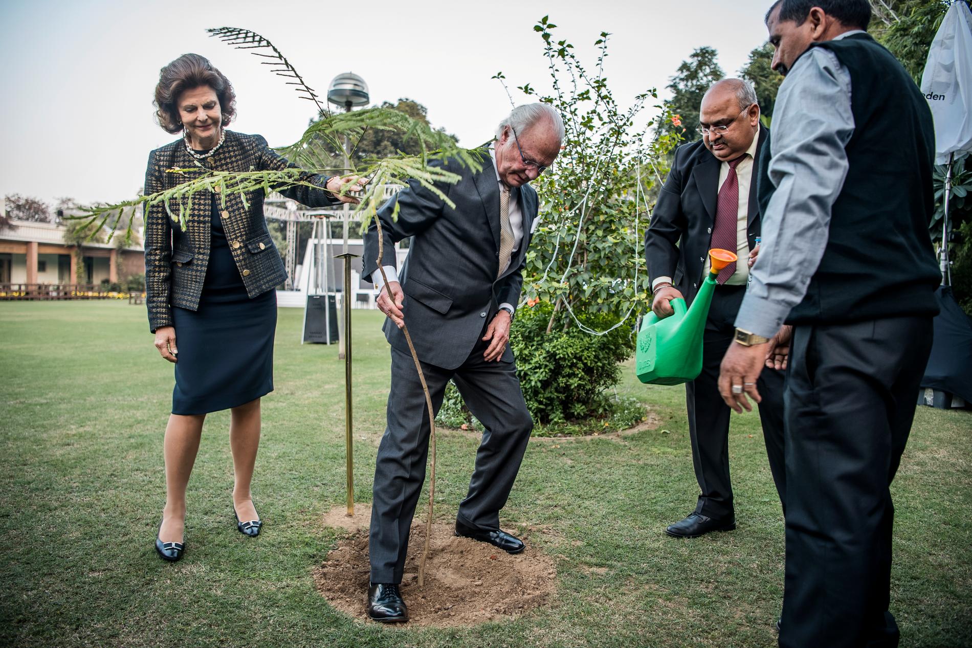 Kungaparet planterade ett träd på svenska ambassaden.