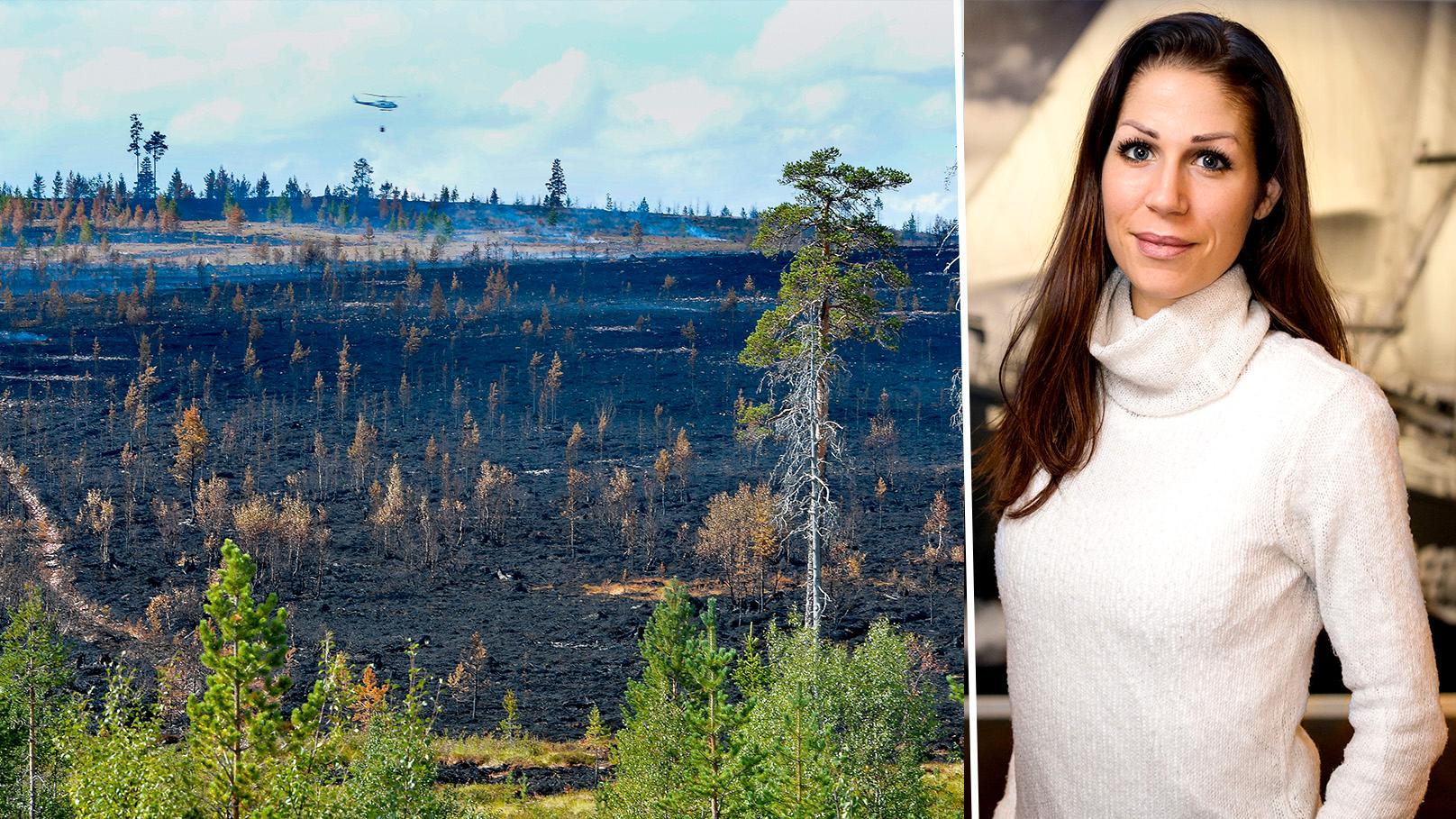 Det är dags att skogsbolagen i Sverige vaknar och förhindrar framtida katastrofer, skriver Lina Burnelius, Greenpeace.