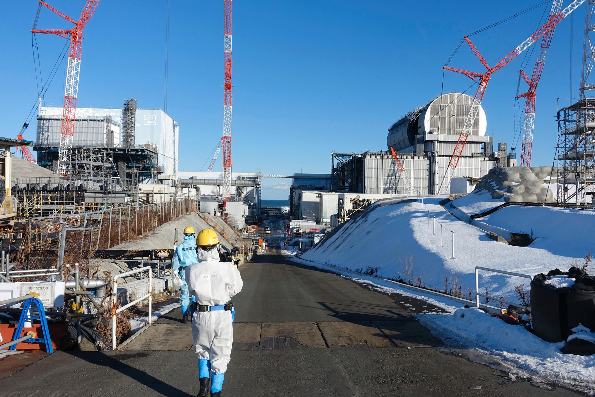 En anställd vid kärnkraftverket Fukushima avled efter att ha blivit utsatt för strålning. Arkivbild.