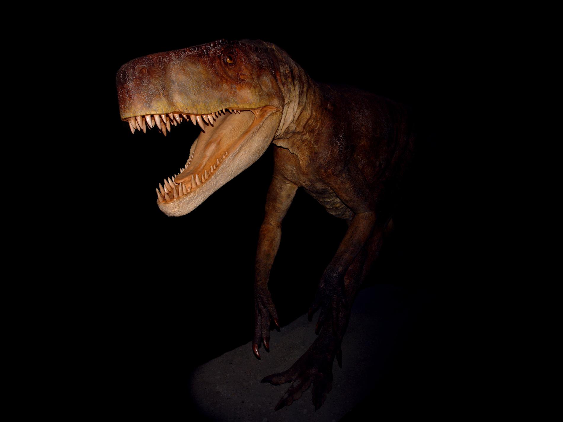 Smok wawelski var det största rovdjuret i Europa för 210 miljoner år sedan.