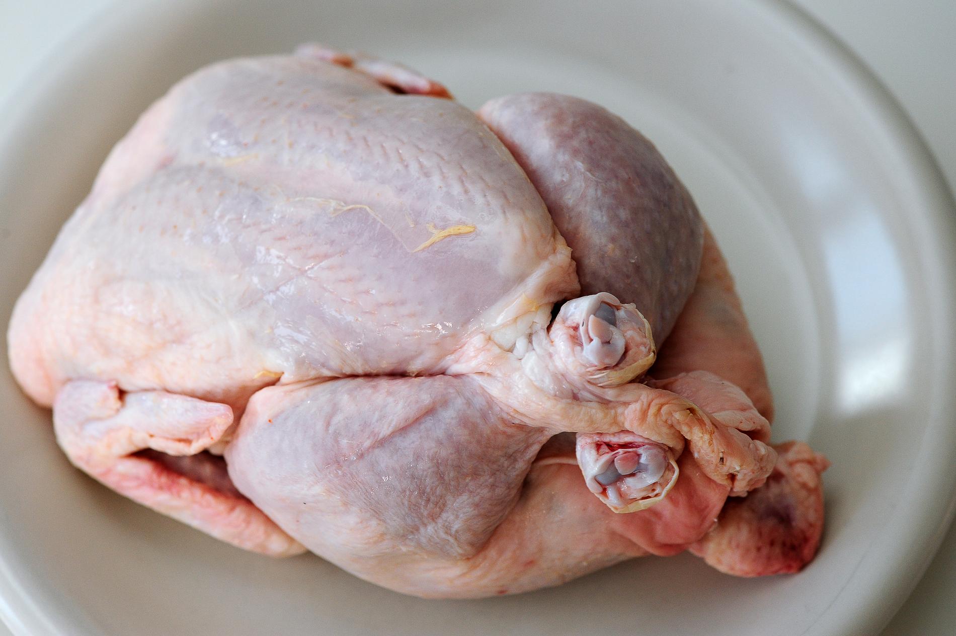Fler än vanligt blir sjuka av färsk kyckling, trots åtgärder från kycklingbranschen. Arkivbild.