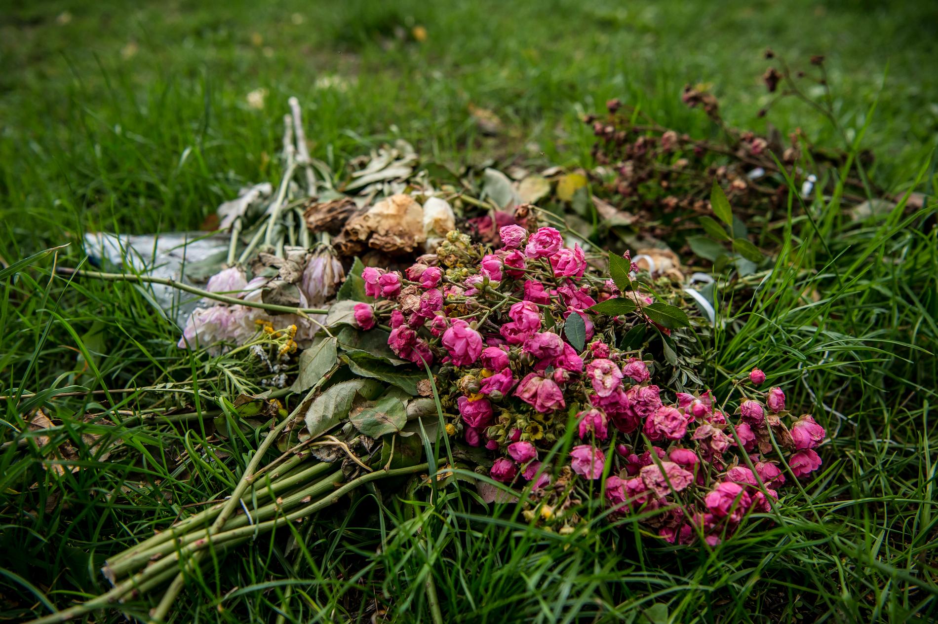 Blommor vid platsen där hemlöse Gica mördades i början av augusti.