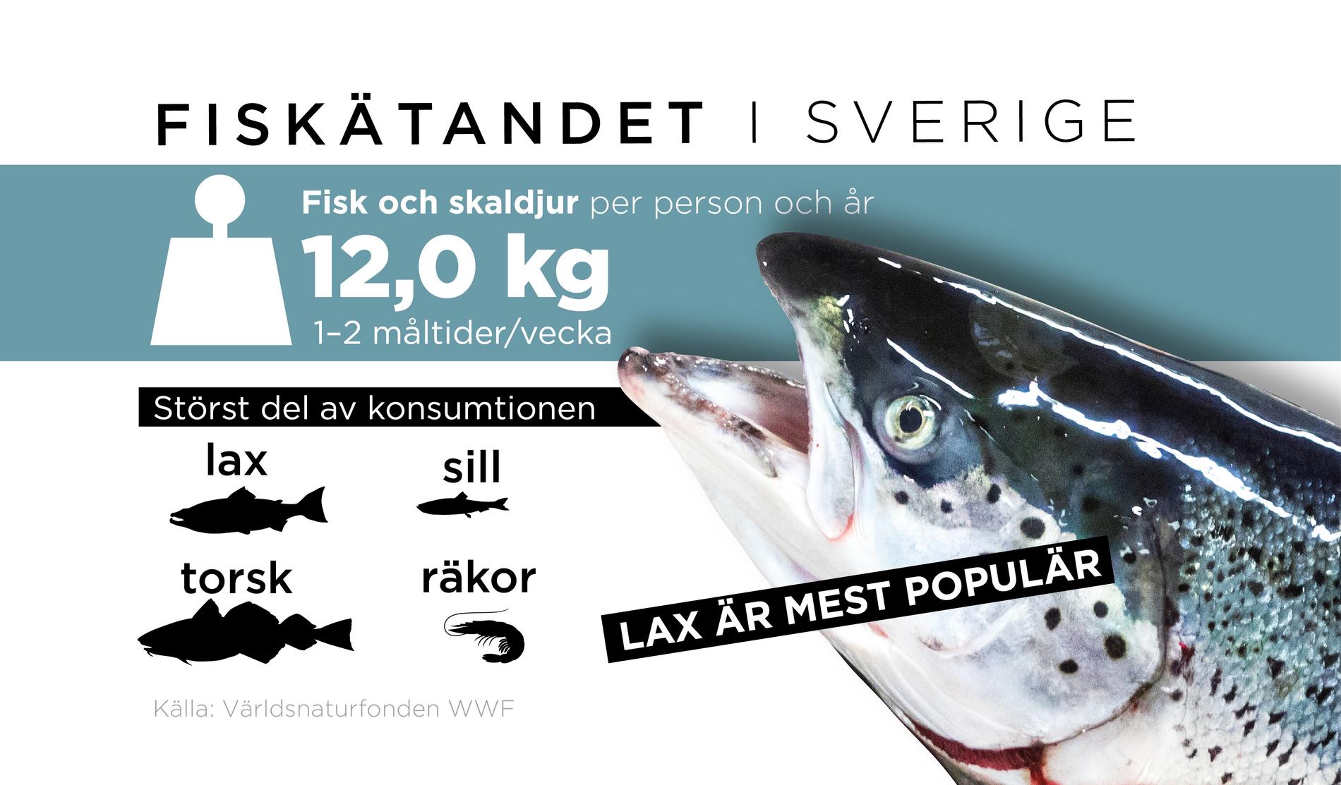 Tolv kilo fisk och skaldjur per år – och helst lax. Så ser svenskarnas fiskätande ut.