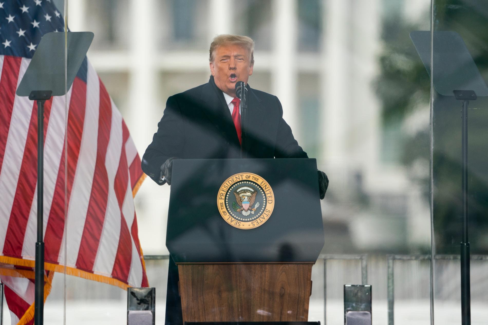 Donald Trump talar inför sina anhängare den 6 januari 2021.