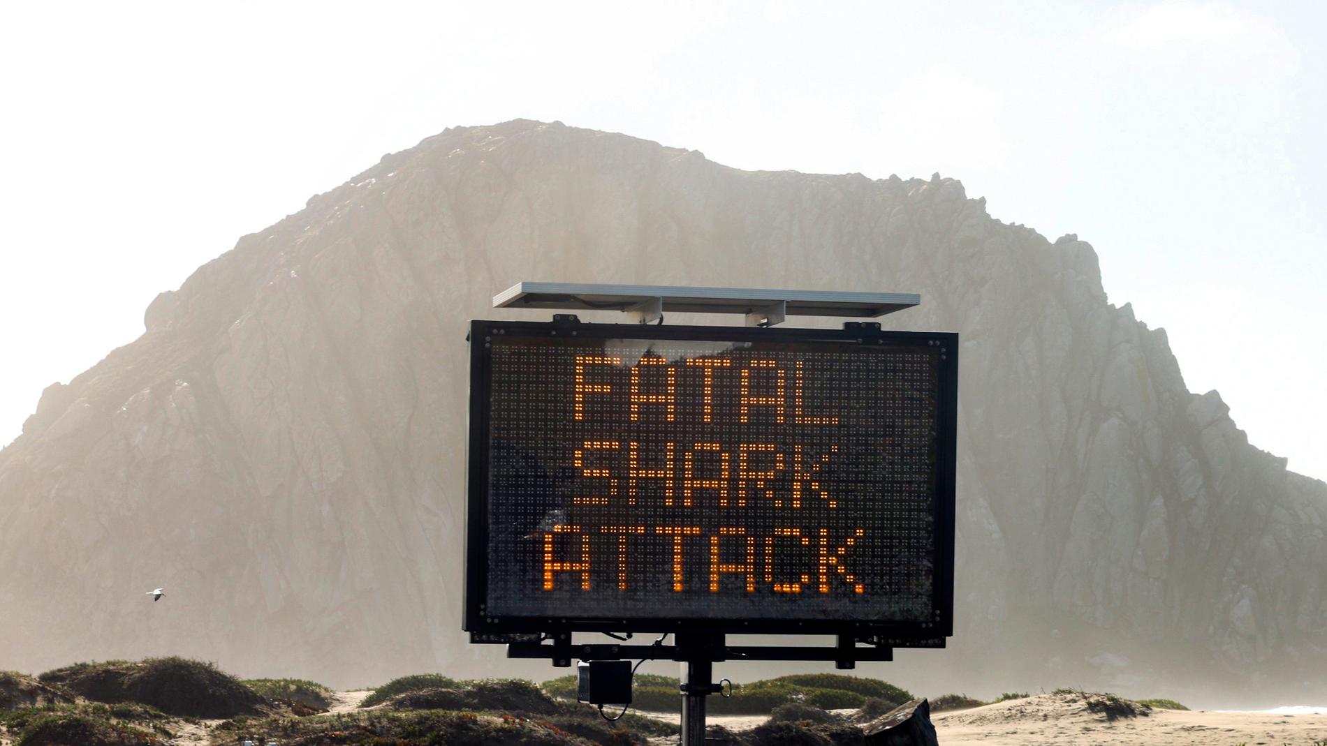 En surfare har dödats av en haj i Morro Bay, Kalifornien. På stranden varnas besökarna för att bada eller surfa.