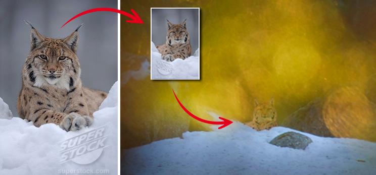 Terje Hellesø laddade hem någon annans bild på ett lodjur från en sajt på internet, spegelvände den, och klippte och klistrade sedan in lodjuret i sin egen vintriga landskapsbild. Samma tillvägagångssätt återkommer i flera av hans fuskverk.