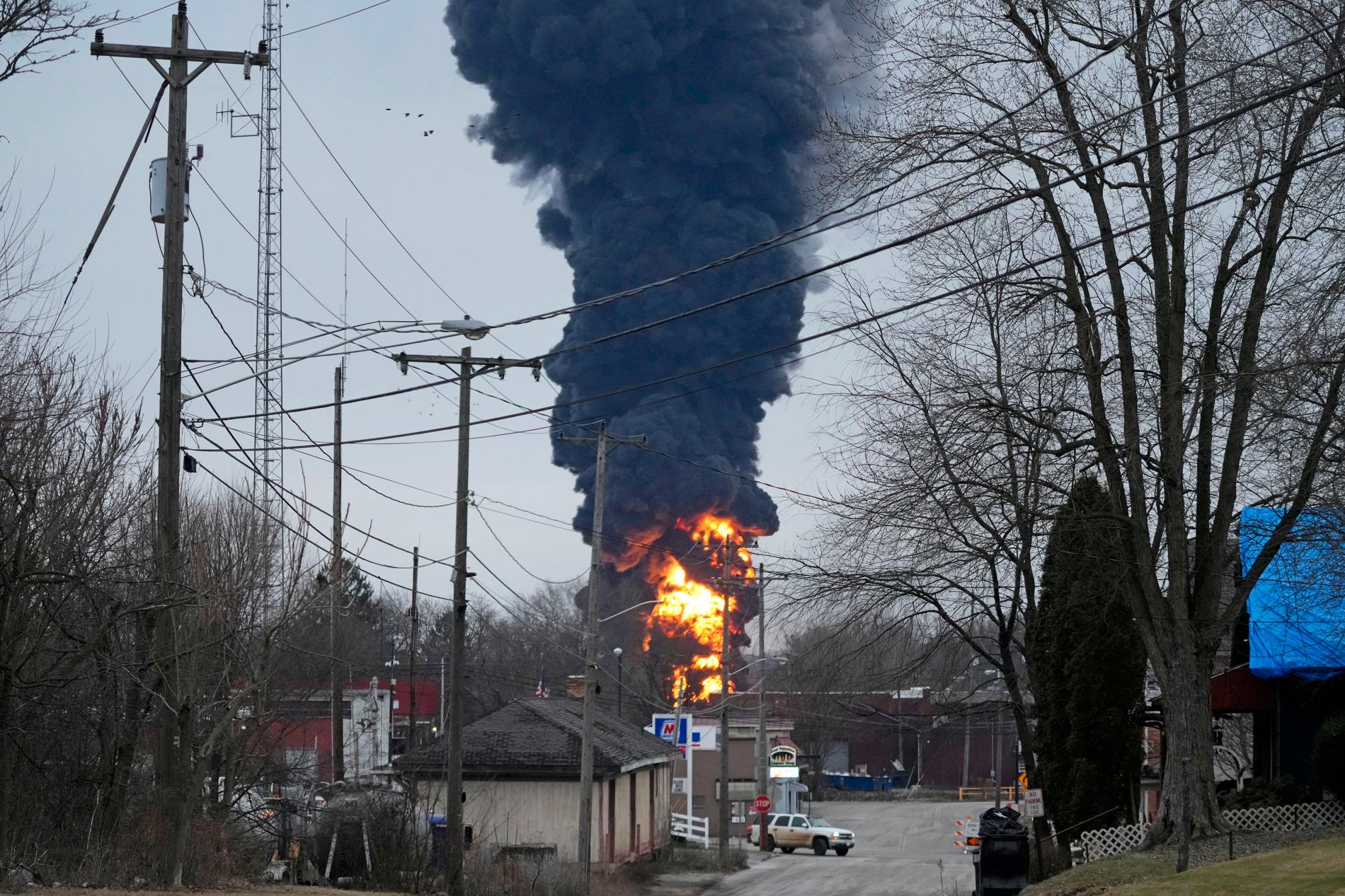 Tjock svart rök stiger från det kraschade tåget efter en kontrollerad detonation den 6 februari.