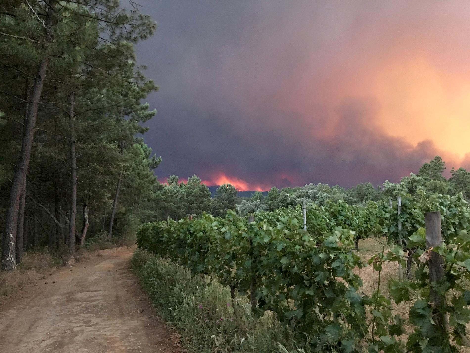 Rök stiger från skogsbranden som rasar i centrala Portugal.