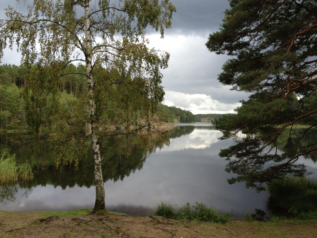 Krampan i Södermanland - en oas.