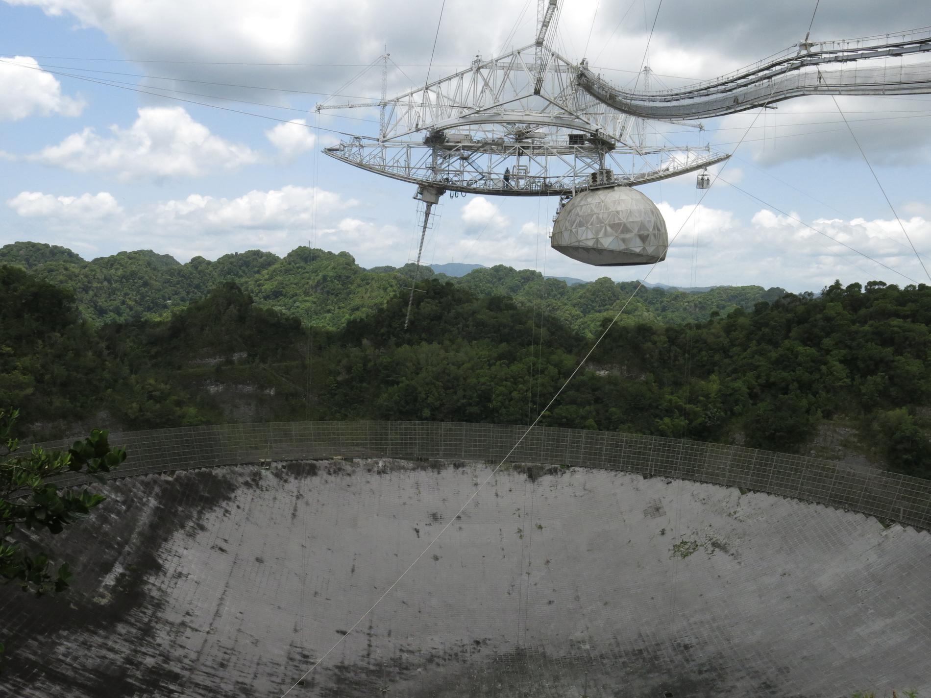 Ett radioteleskop i Arecibo, Puerto Rico, som spanar efter bland annat asteroider på eventuell kollisionskurs med jorden. Arkivbild.