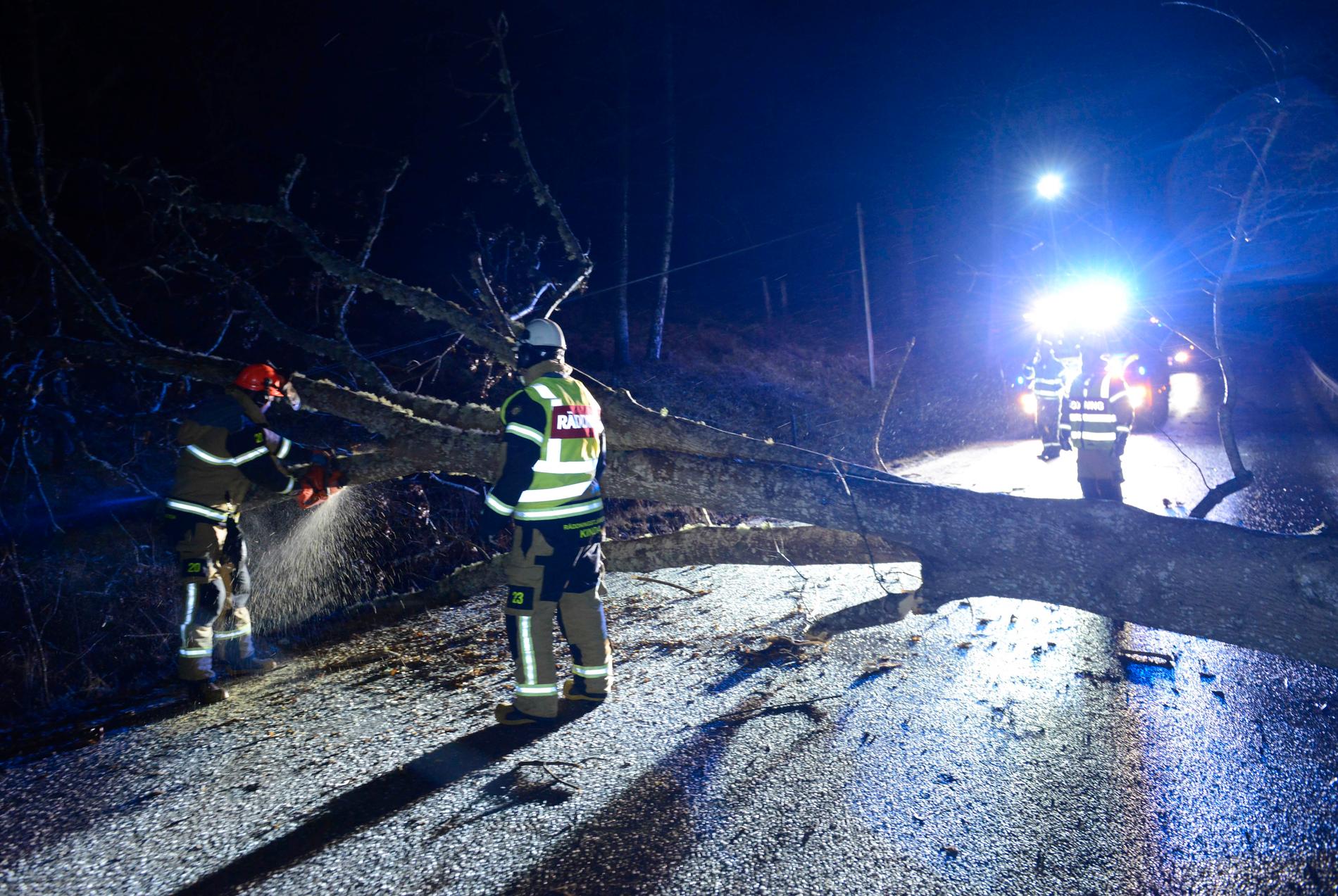 Räddningstjänsten i Kinda fick rycka ut och ta bort flera träd som blockerade riksvägar.