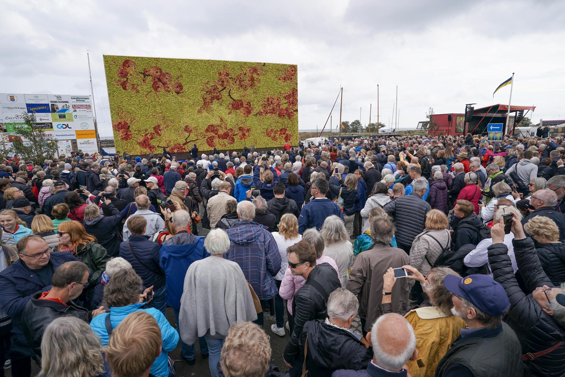 Många människor hade kommit till den årliga äppelmarknaden i Kivik för att se avtäckningen av årets äppeltavla av konstnären Emma Karp Lundström.