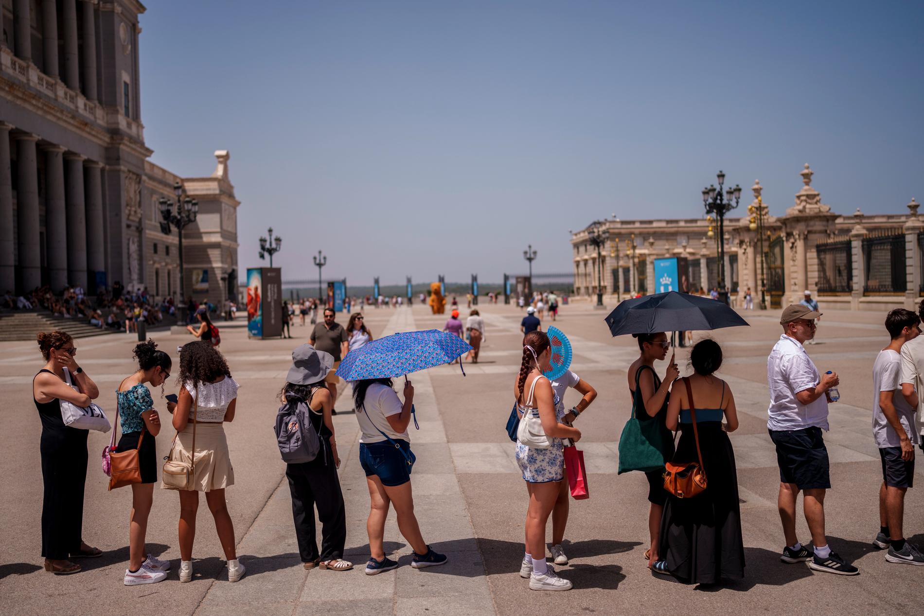 Köande till palatset i Madrid i Spanien under värmeböljan i somras. Flera väljer att skydda sig mot den starka solen med paraply.
