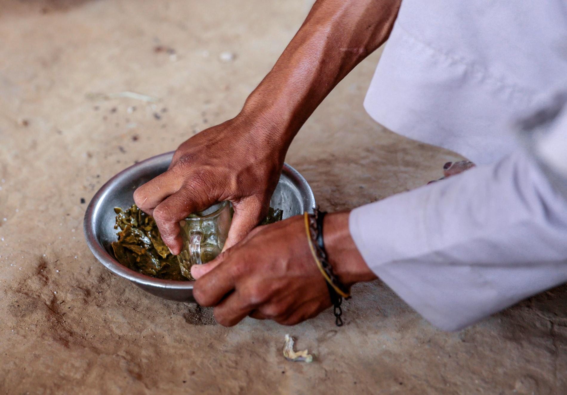 En man i Jemen tillagar en rätt på gröna blad från vinstockar. Bladen är en traditionell sidorätt, men under extrem fattigdom blir den huvudrätt. 