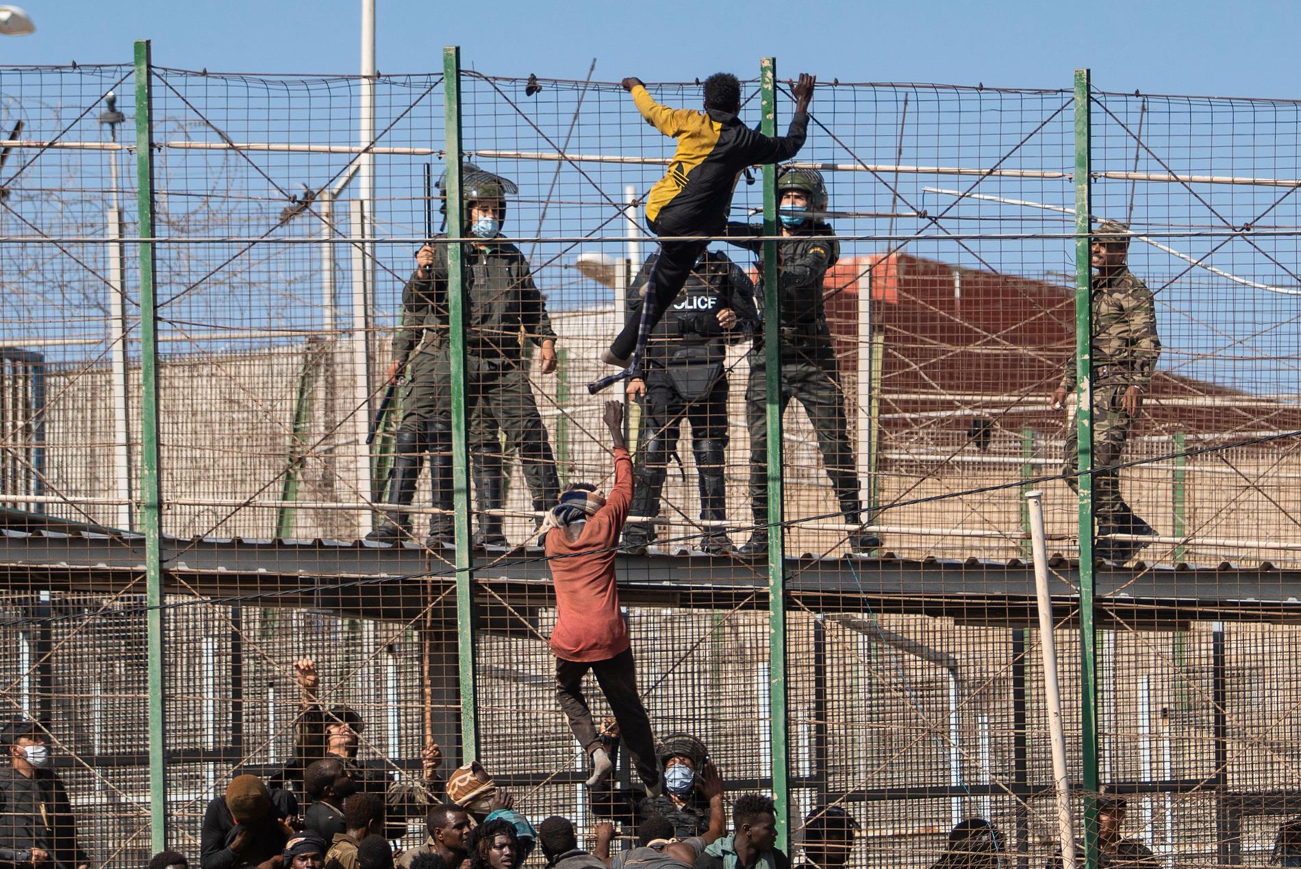 Migranter klättrar på staketet som skiljer den spanska enklaven Melilla från Marocko i Melilla, Spanien.