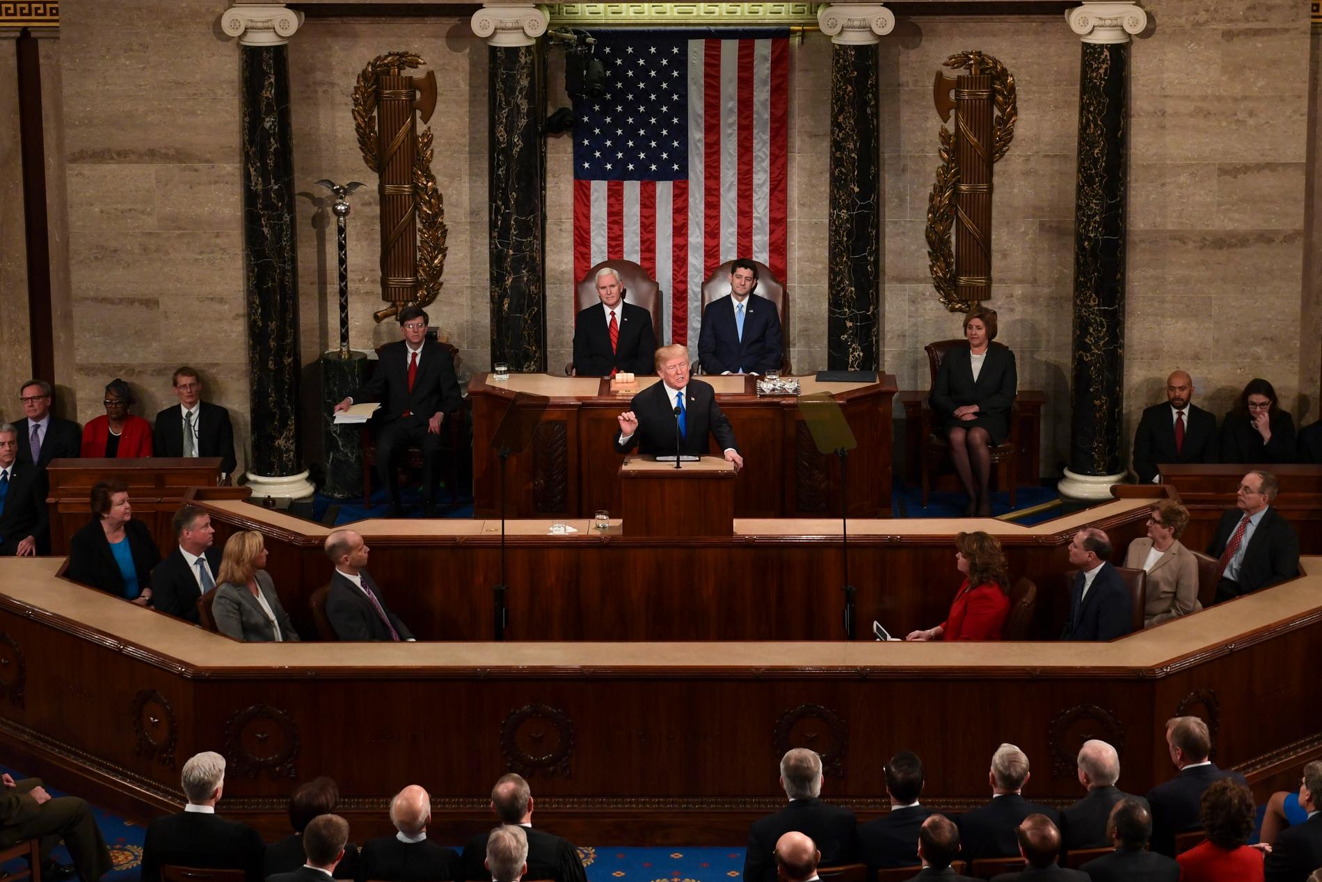 USA:s president Donald Trump vid fjolårets State of the Union-tal.