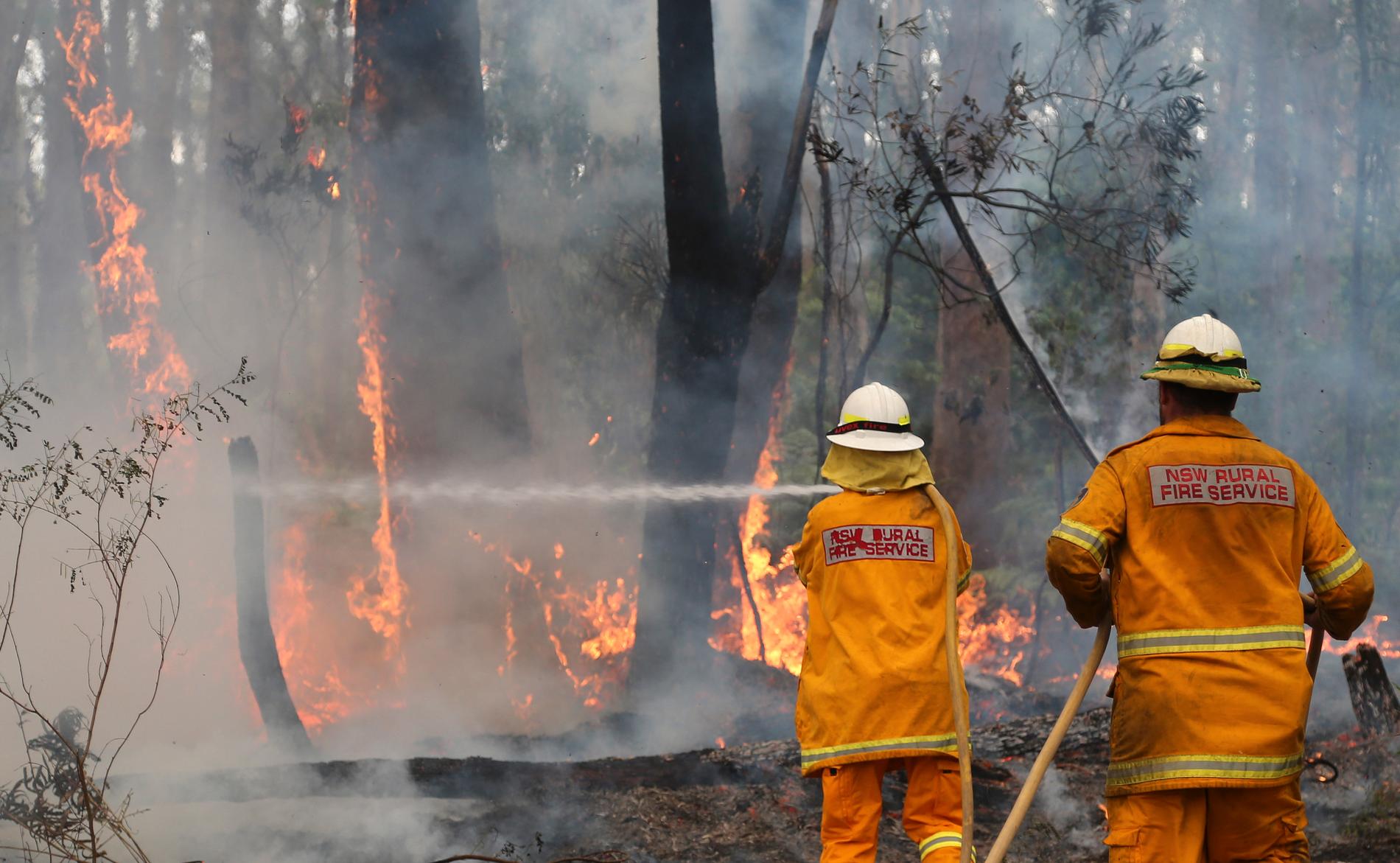 Räddningstjänst kämpar mot lågor i Australien. Arkivbild.