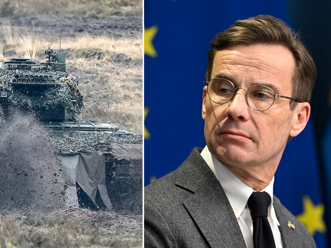 Statsministern: Leopardfamiljen kan skicka stridsvagnar