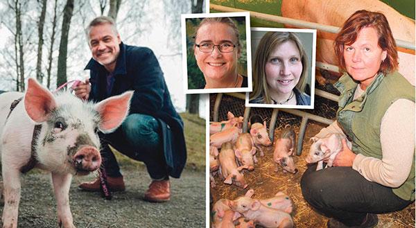 Egentligen gör vi samma sak som Henrik Schyffert i tv-serien. Även vi tycker om och tar hand om våra djur. Den stora skillnaden är att bönder gör det i större skala och varje dag, året om, skriver Åsa Odell (stora bilden), Anette Gustawson och Titti Jöngren (till vänster).