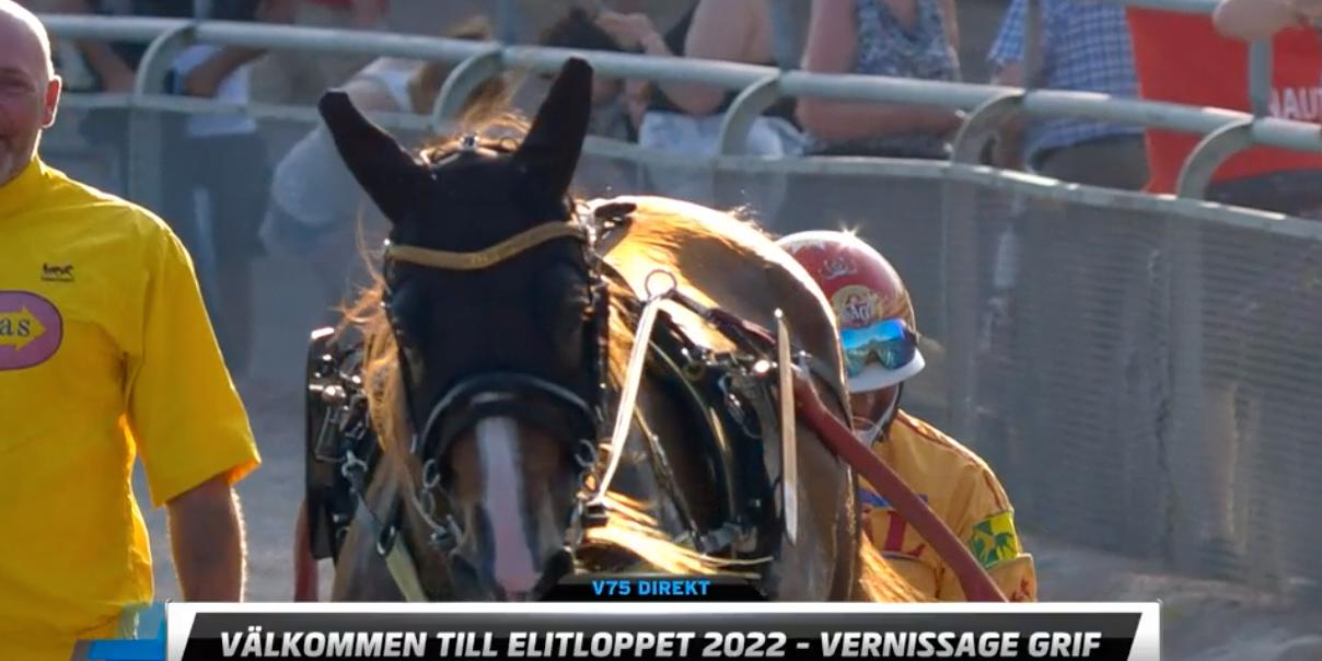 Vernissage Grif blev den sjunde hästen att presenteras inför Elitloppet 2022. 