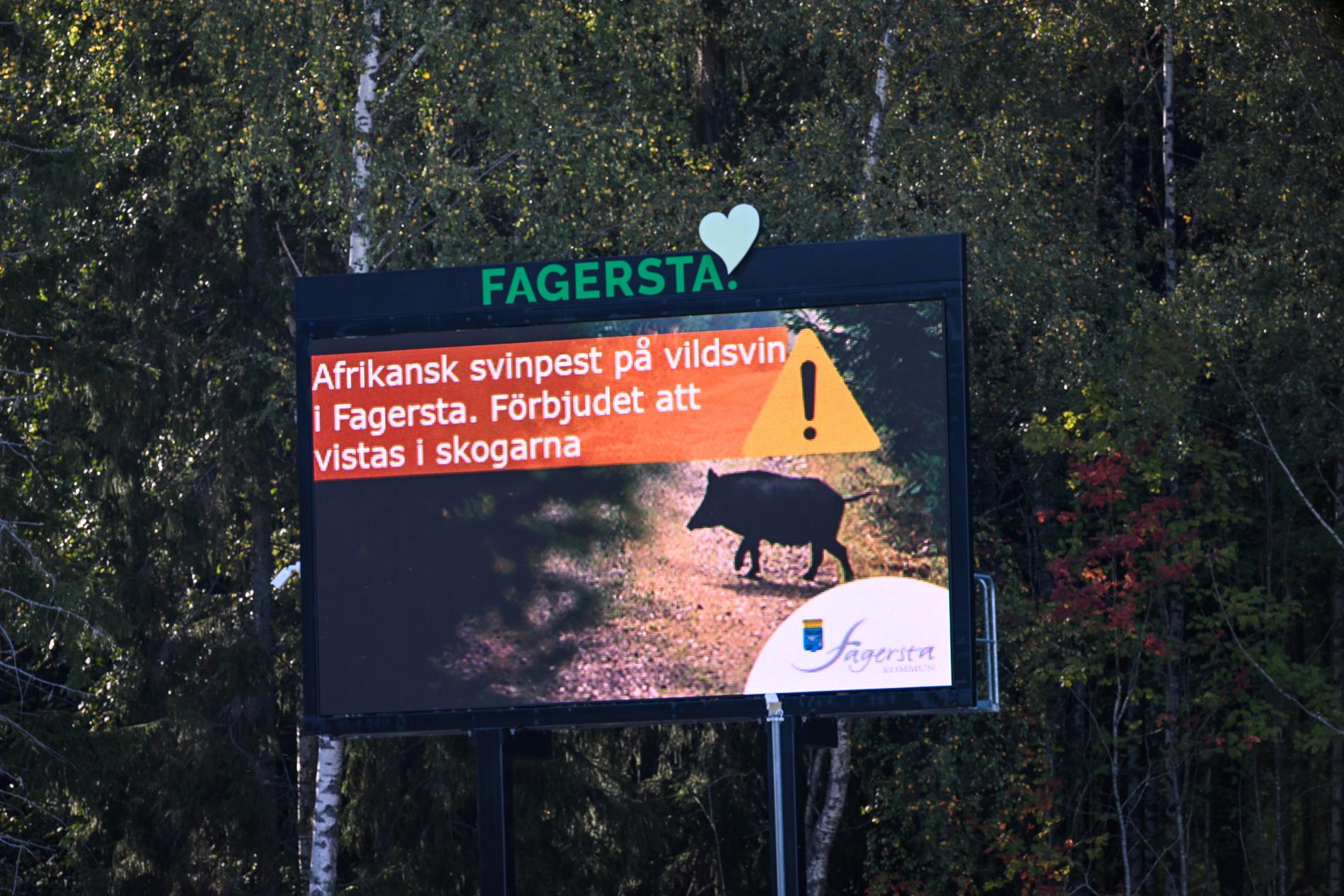 Skylt uppsatt av Fagersta kommun med texten "Afrikansk svinpest på vildsvin i Fagersta. Förbjudet att visats i skogarna", med anledning av utbrottet av afrikansk svinpest.