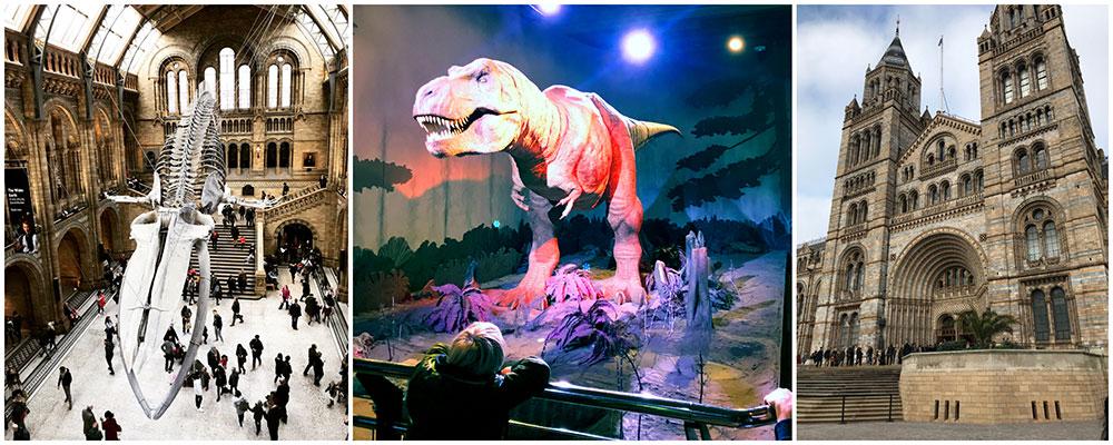 Upplev dinosaurier på Naturhistoriska museet i London.